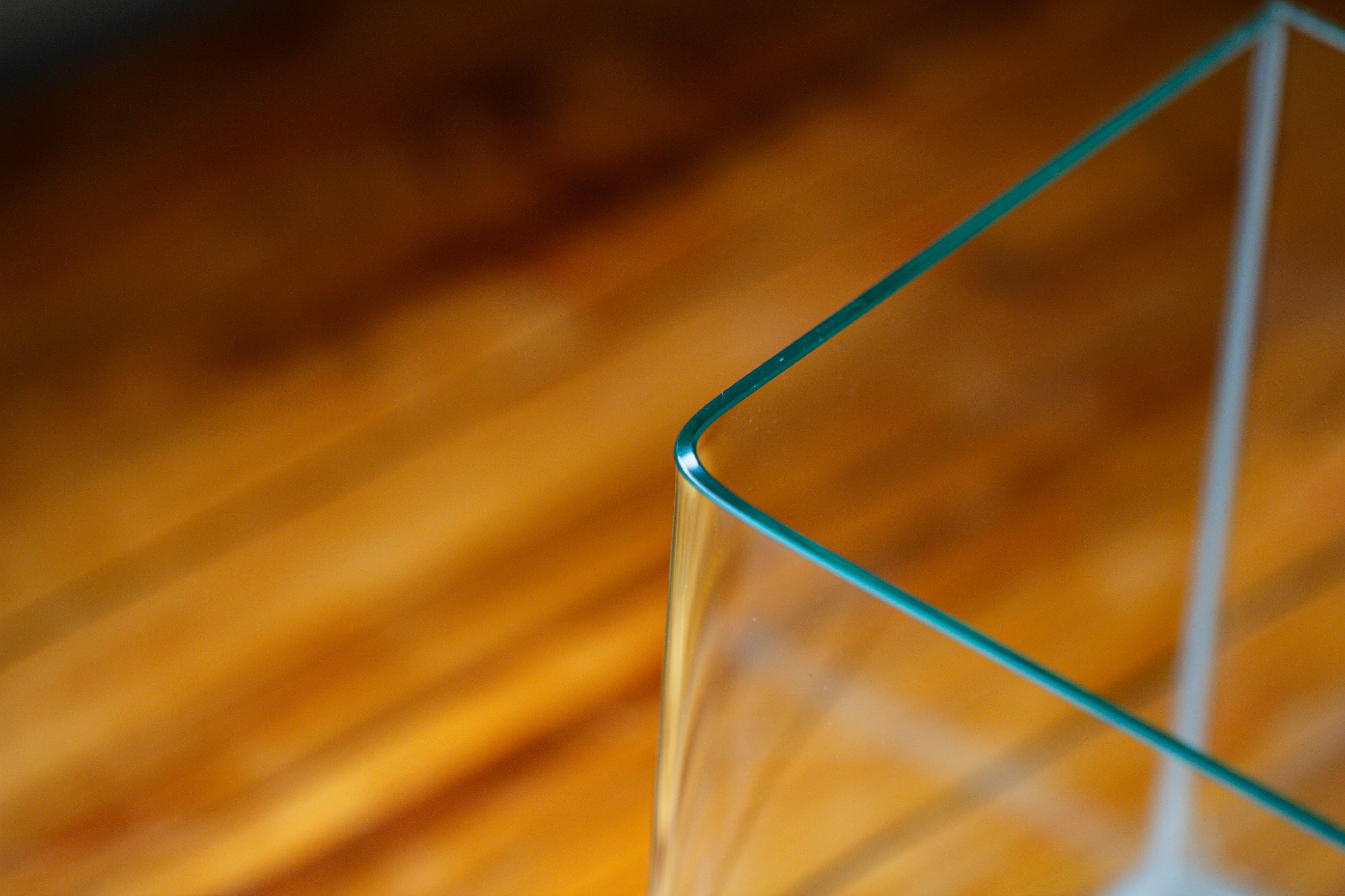 Open Moss Terrarium Building DIY Set with LED for Carnivorous Plants: pitcher - NCYPgarden