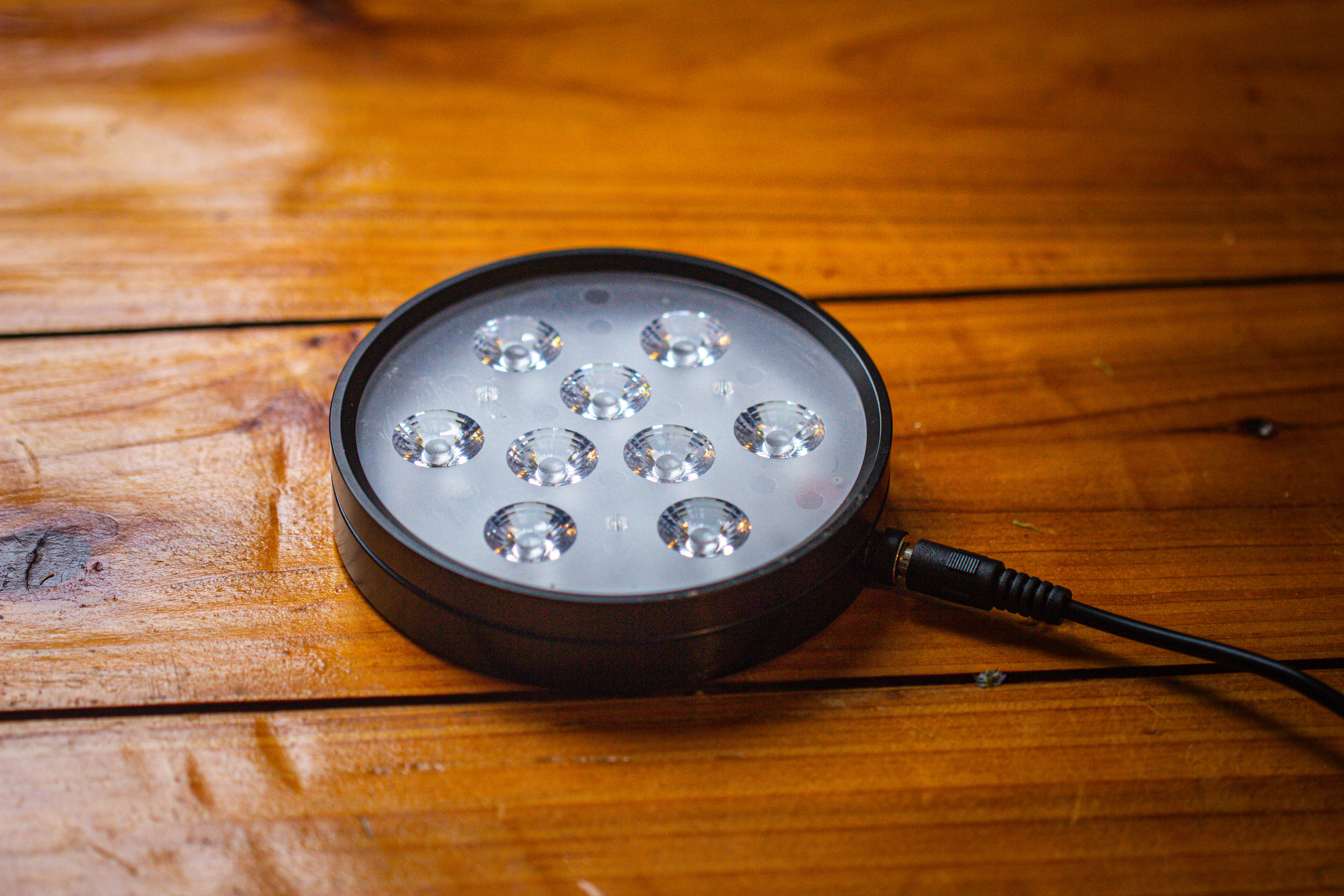 Small Cylinder Terrarium with LED Grow Lamp, Acrylic Lid Set for Bog, Carnivorous plants-15x20cm - NCYPgarden