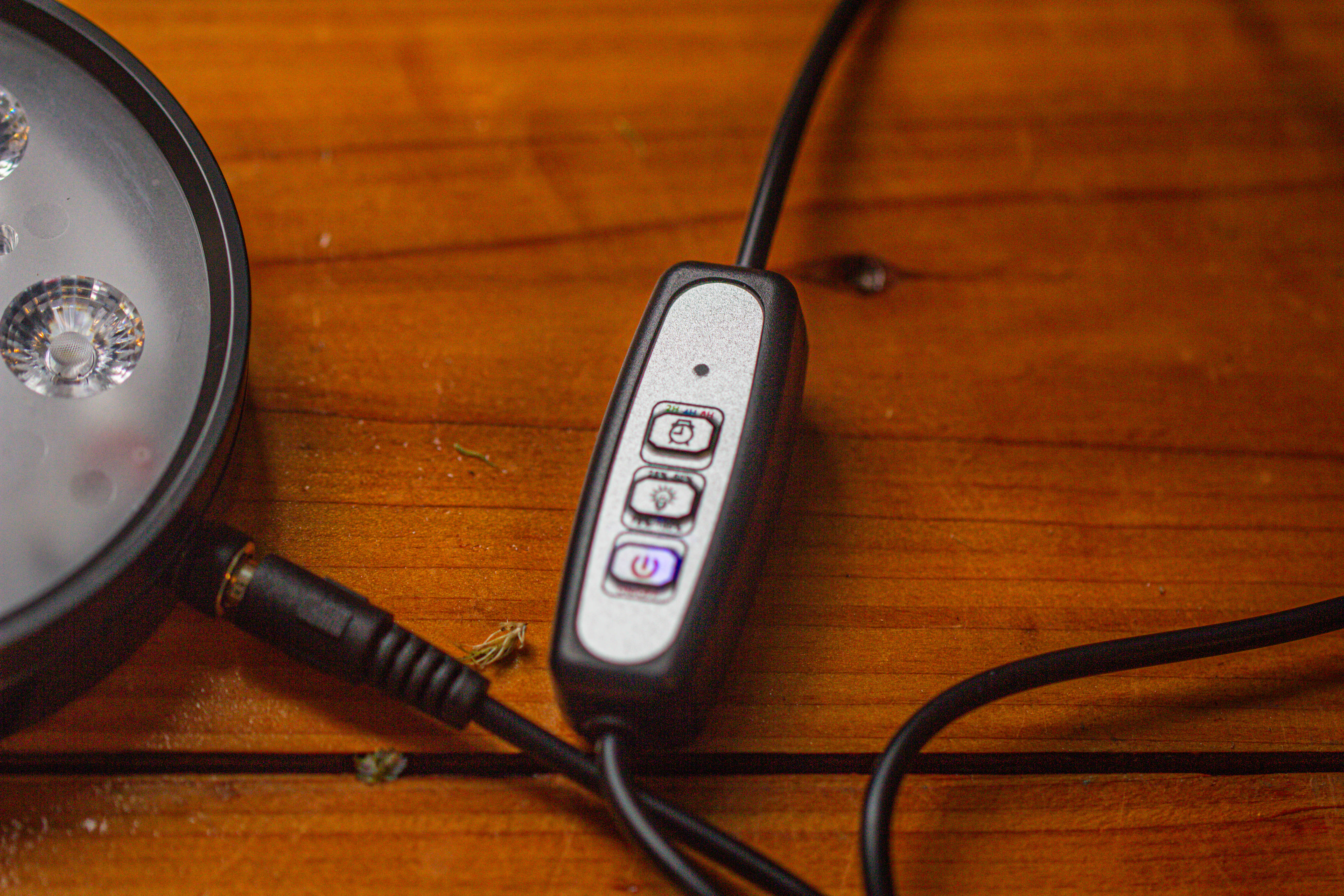 Medium Cylinder Terrarium with LED Grow Lamp, Acrylic Lid Set for Bog, Carnivorous plants -15x25cm - NCYPgarden