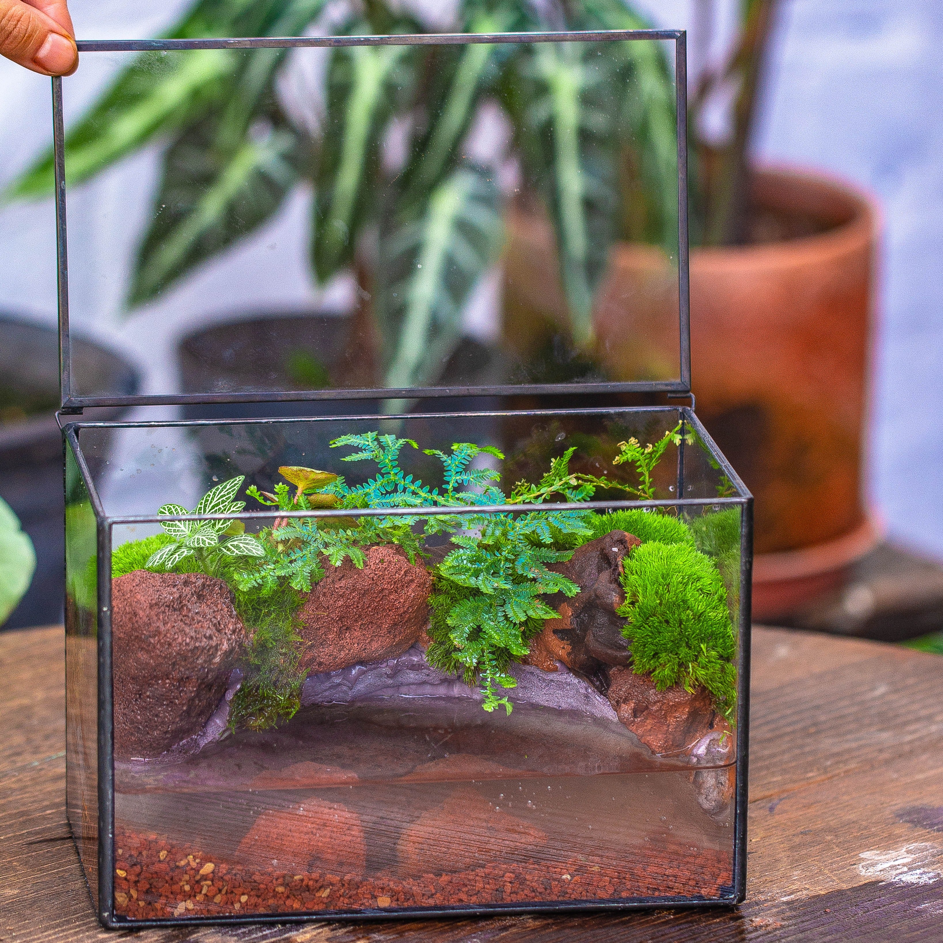 NCYP Watertight Close Rectangle Geometric Glass Tin Terrarium, for small waterpond, moss landscape, Live Miniature, water pond, landscape - NCYPgarden