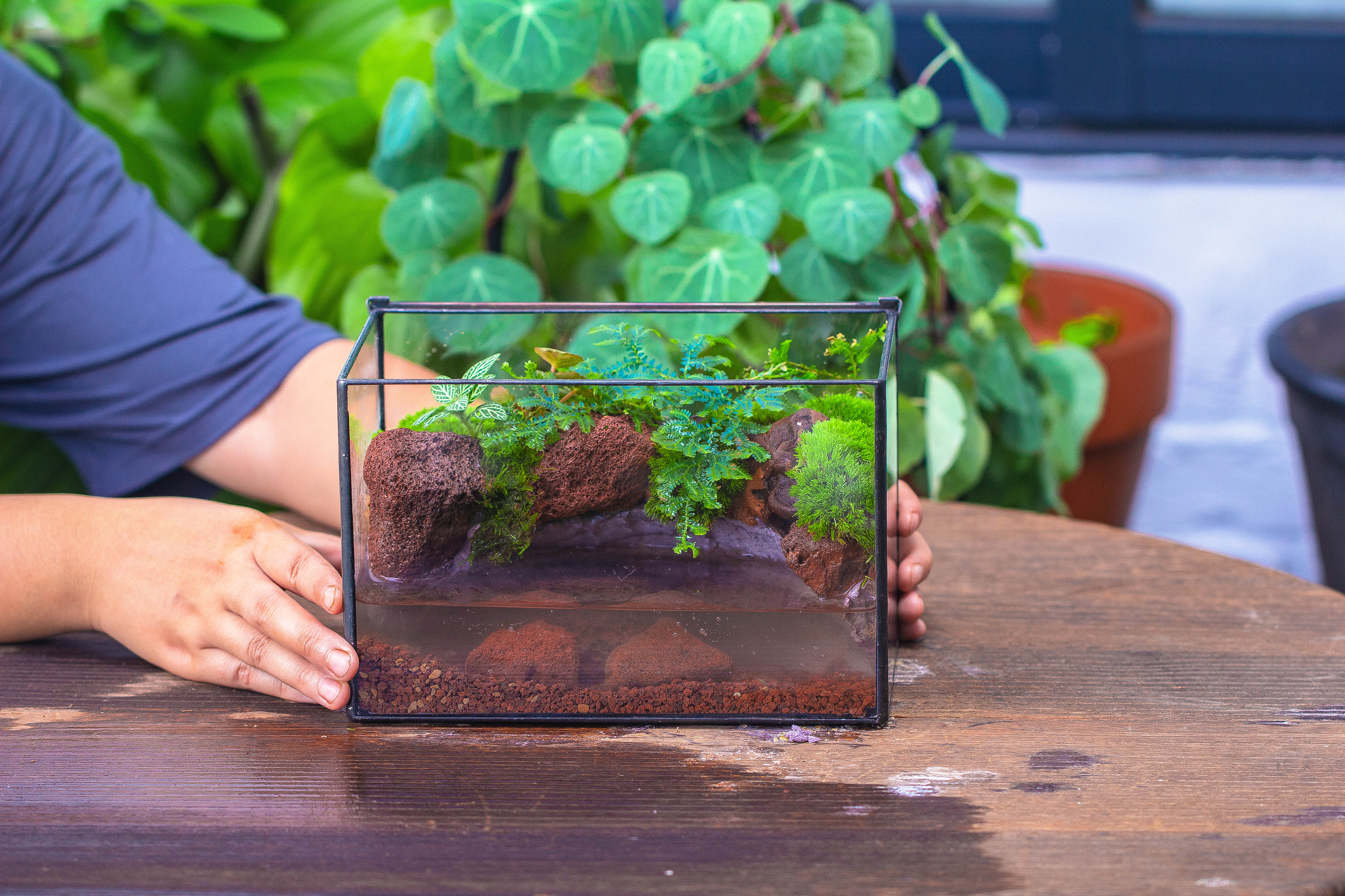 NCYP Watertight Close Rectangle Geometric Glass Tin Terrarium, for small waterpond, moss landscape, Live Miniature, water pond, landscape - NCYPgarden