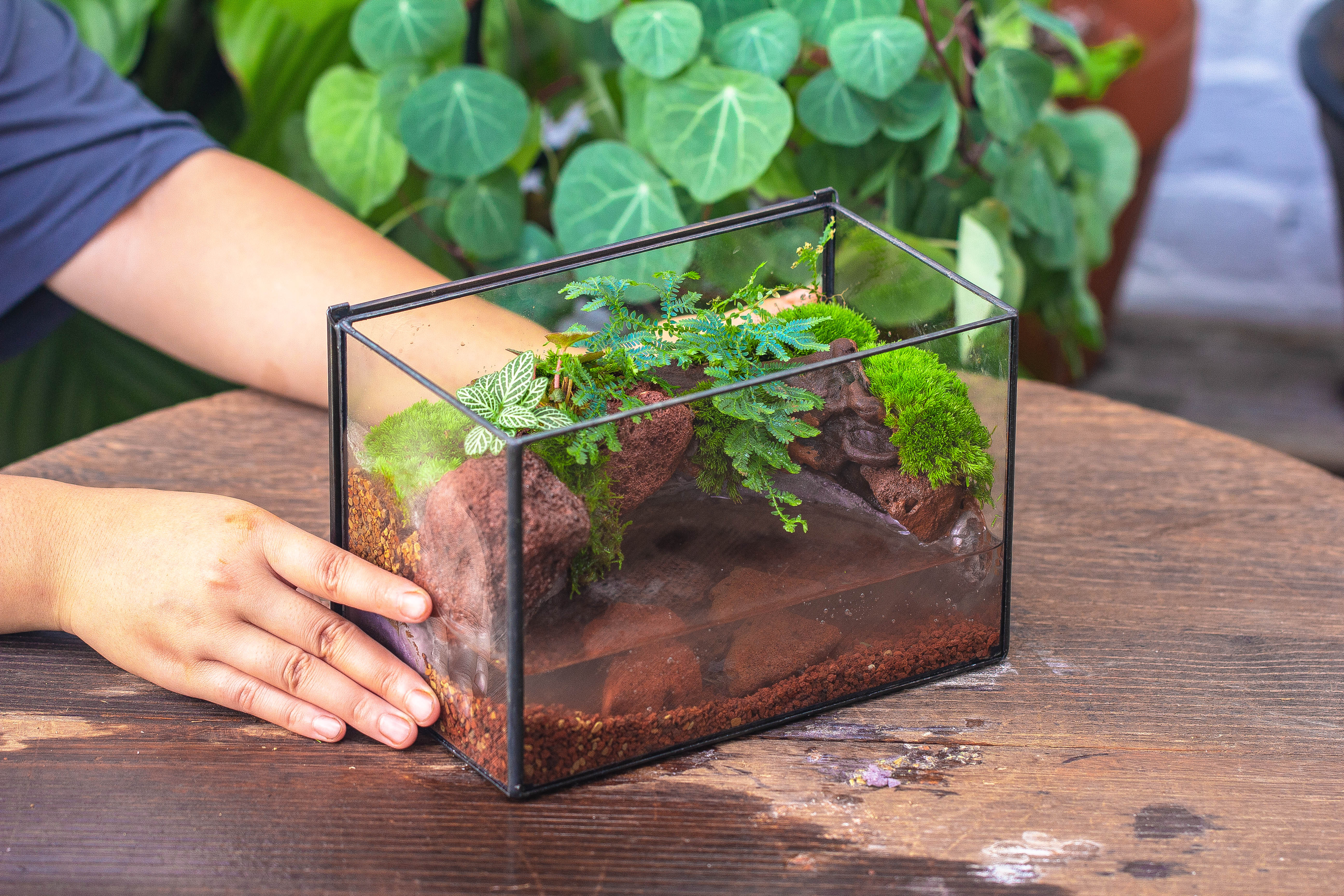 NCYP Watertight Close Rectangle Geometric Glass Tin Terrarium, for small waterpond, moss landscape, Live Miniature, water pond, landscape - NCYPgarden