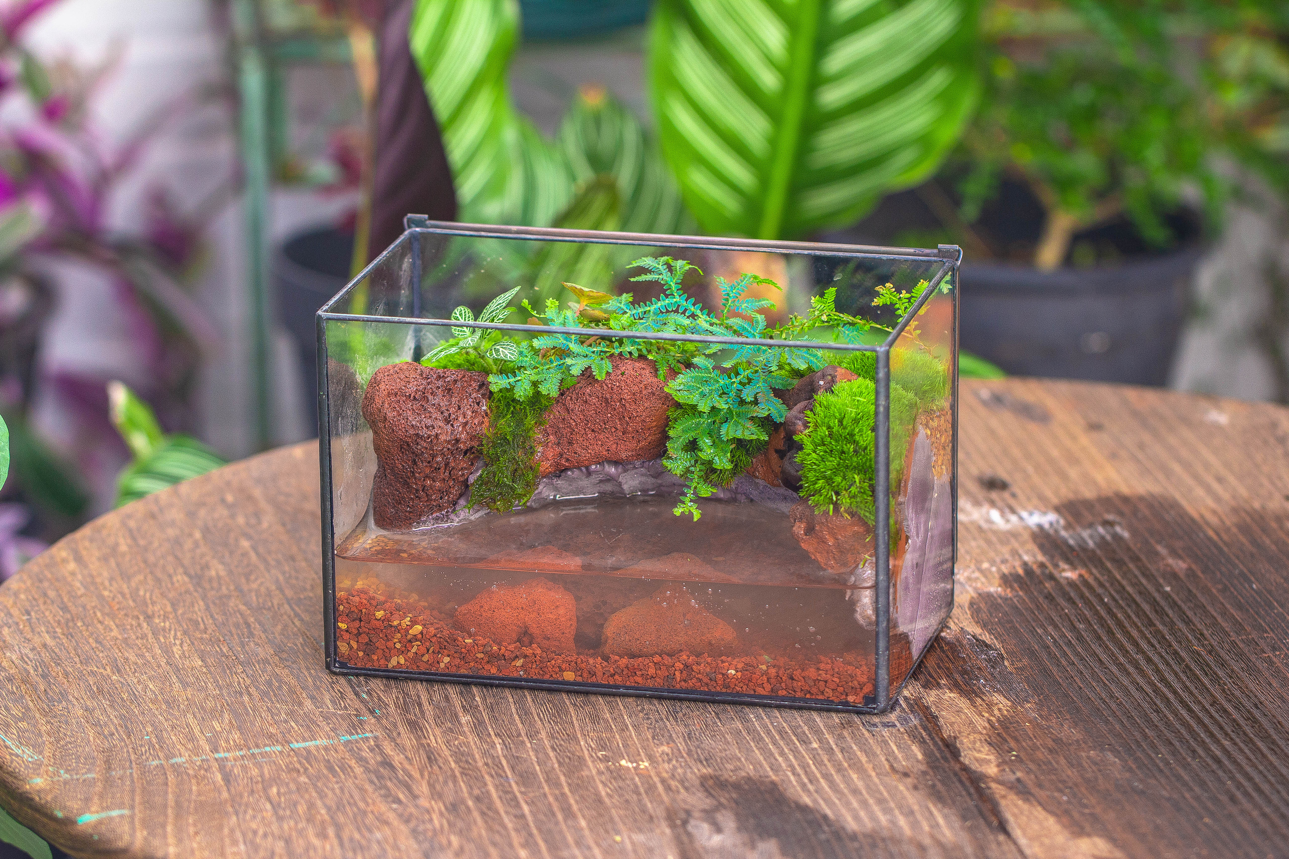 NCYP Watertight Close Rectangle Geometric Glass Tin Terrarium, for small waterpond, moss landscape, Live Miniature, water pond, landscape - NCYPgarden