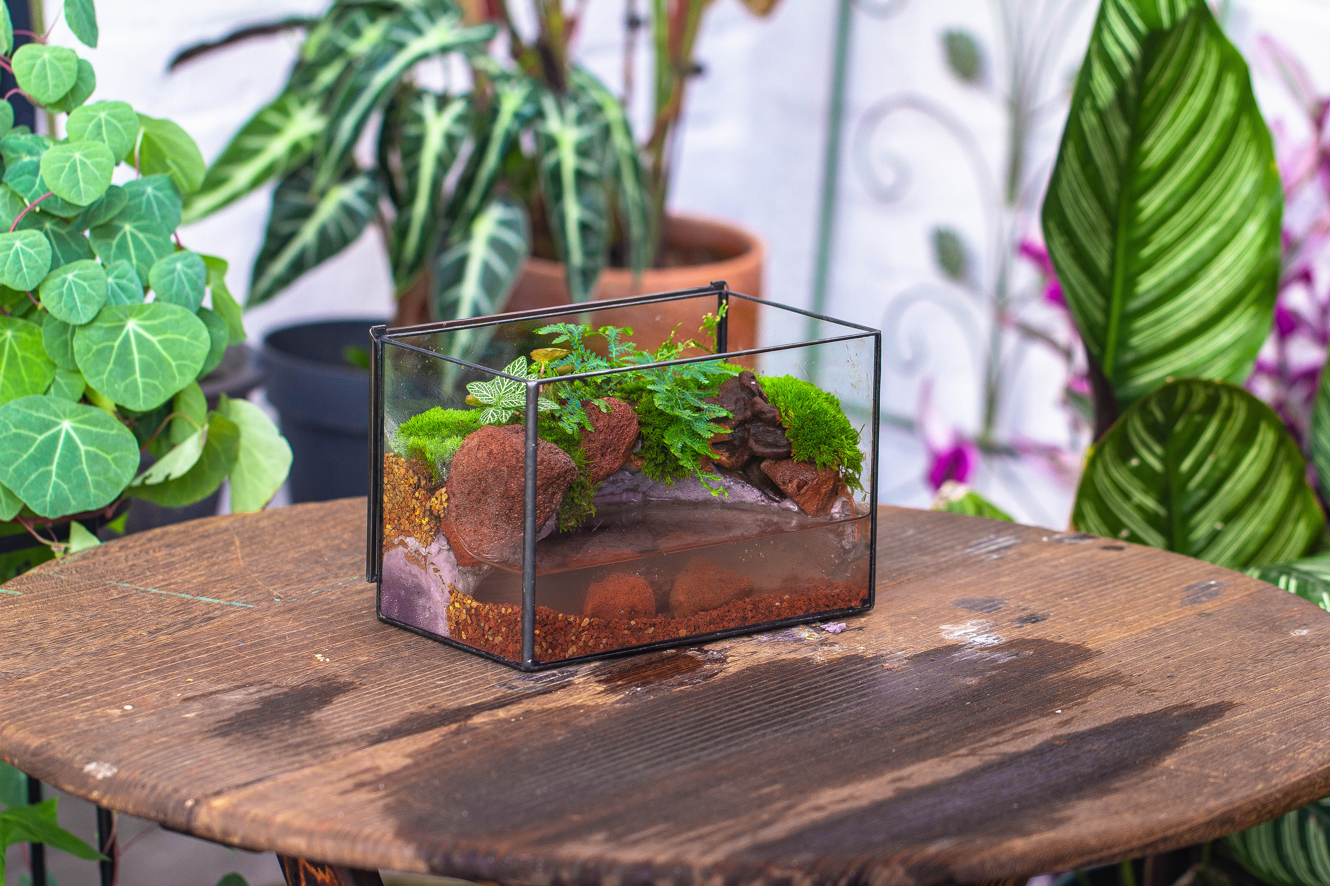 NCYP Watertight Close Rectangle Geometric Glass Tin Terrarium, for small waterpond, moss landscape, Live Miniature, water pond, landscape - NCYPgarden