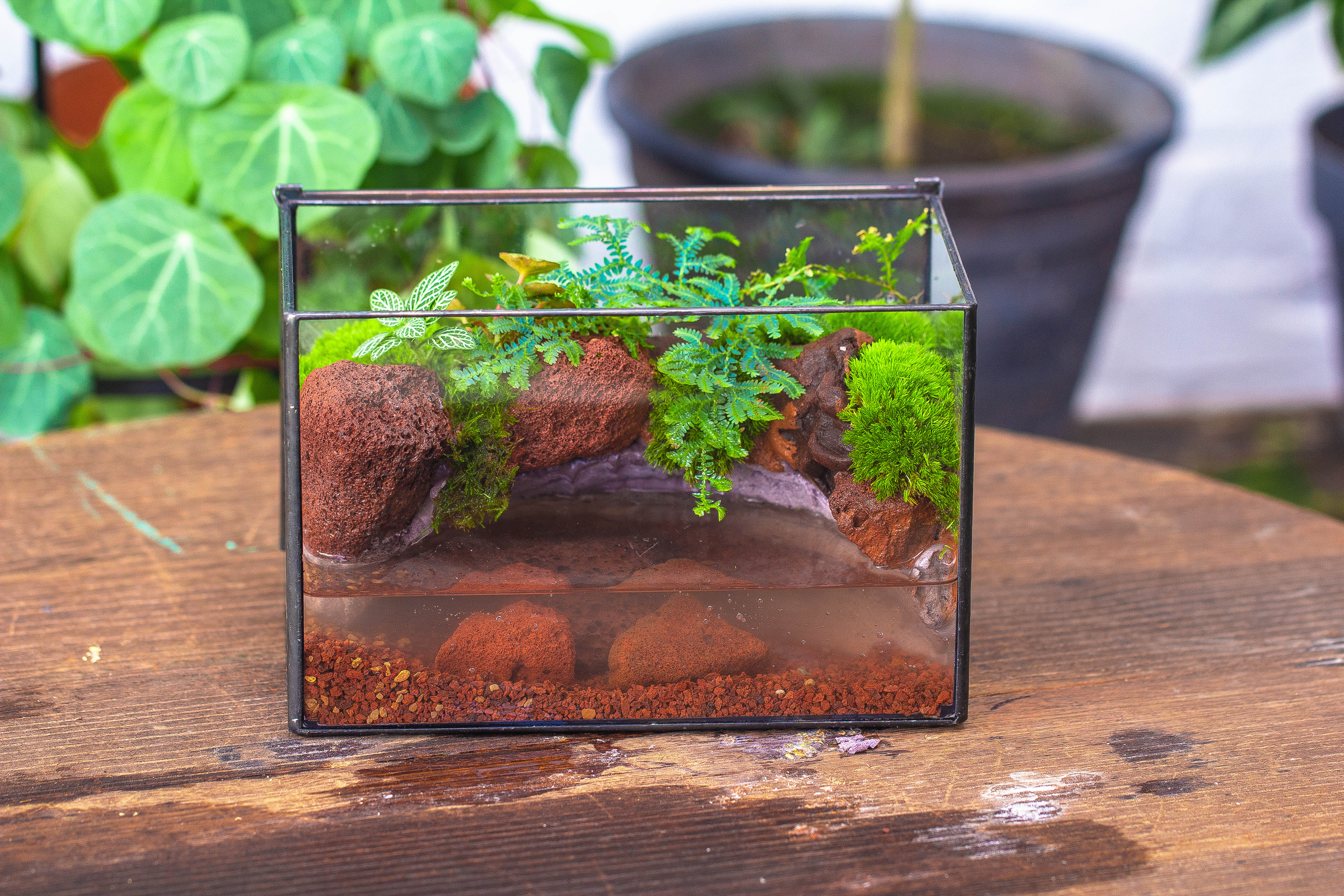 NCYP Watertight Close Rectangle Geometric Glass Tin Terrarium, for small waterpond, moss landscape, Live Miniature, water pond, landscape - NCYPgarden