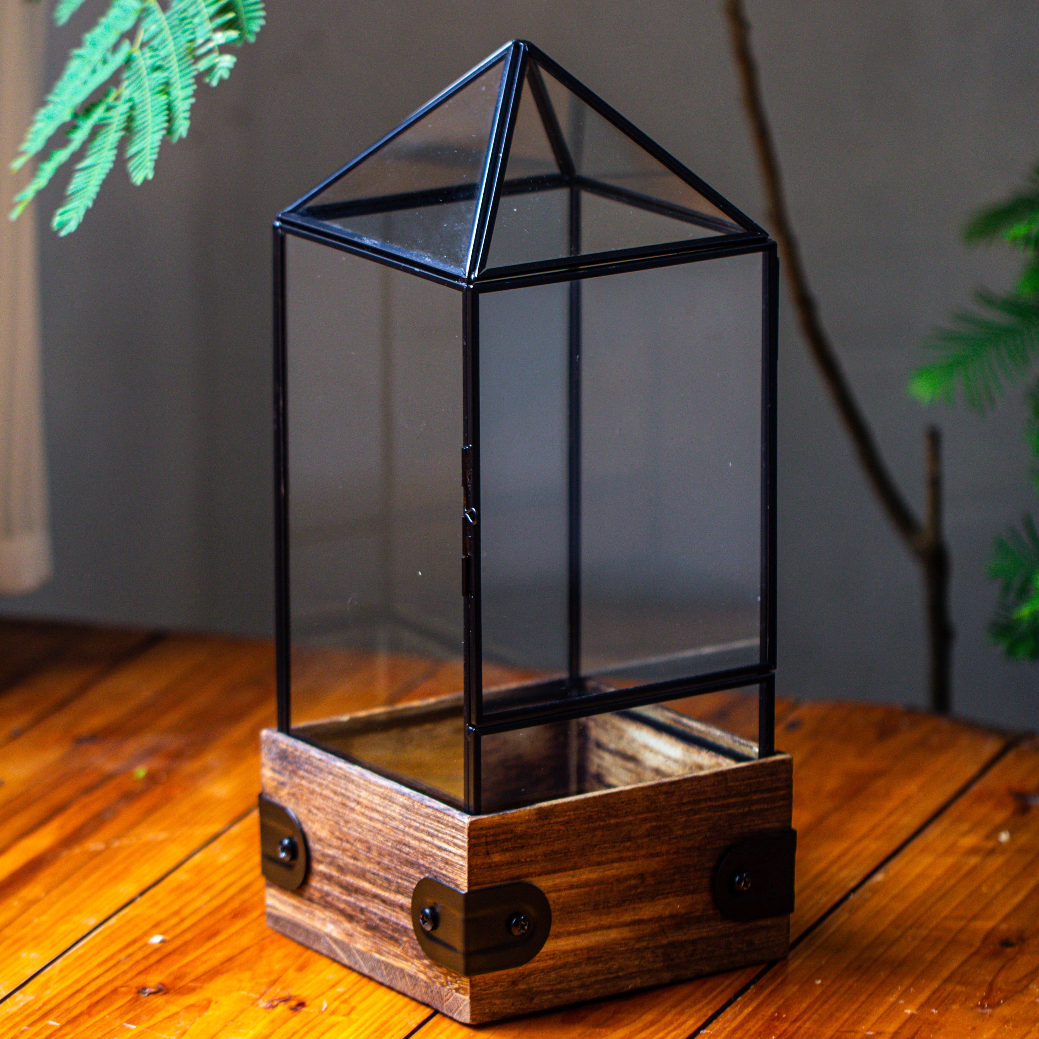 Handmade Glass Terrarium with Wood Base, Pyramid Shape Planter with Door, with LED Acrylic Lamp Base for Plants, Moss Landscapes, Plant Lover Gift - NCYPgarden