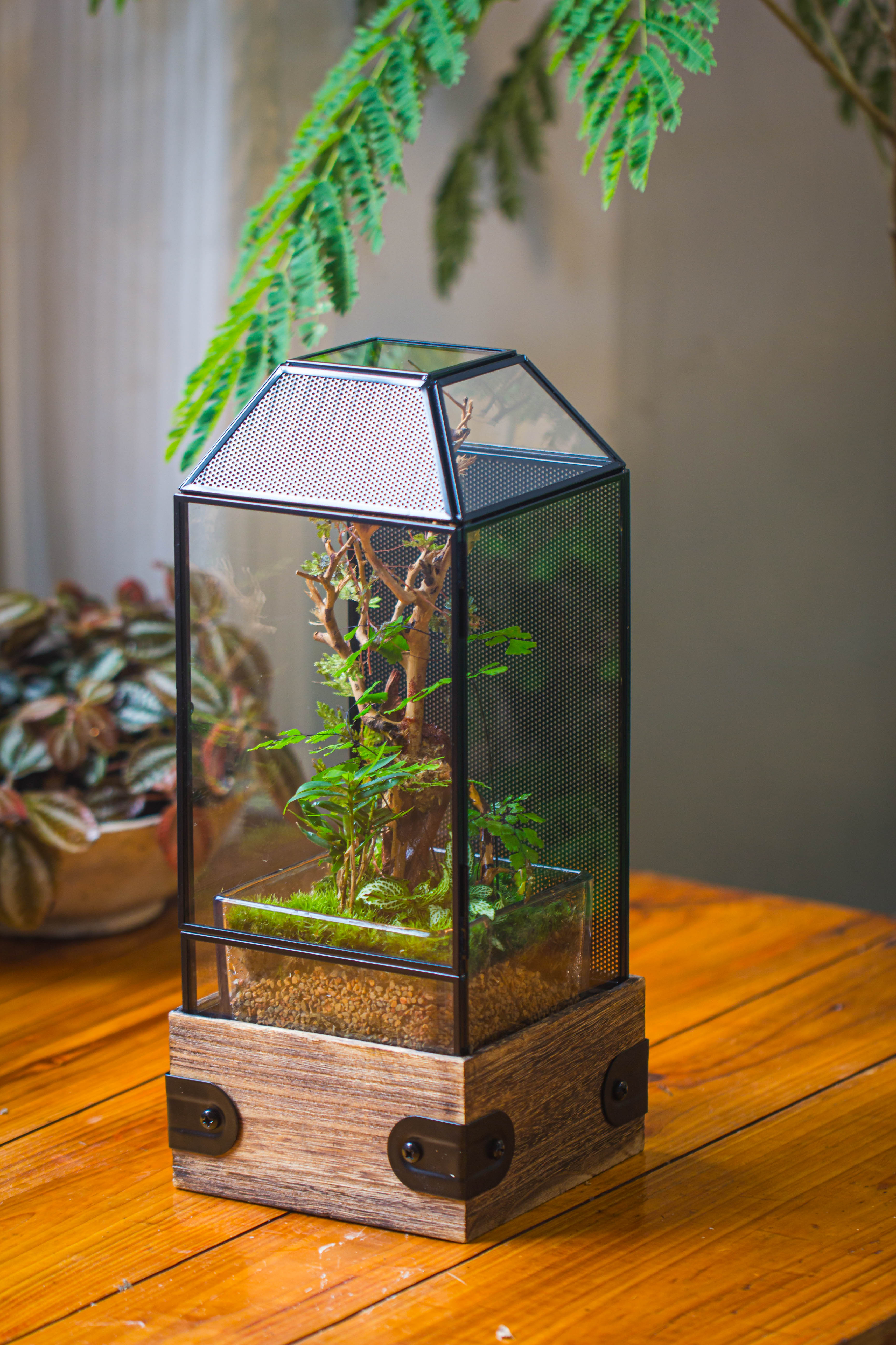 Handmade Glass Terrarium with Wood Base, Geometric Jumping Spider Enclosure, with Mesh Vent, for Plants, Snail, Insects - NCYPgarden
