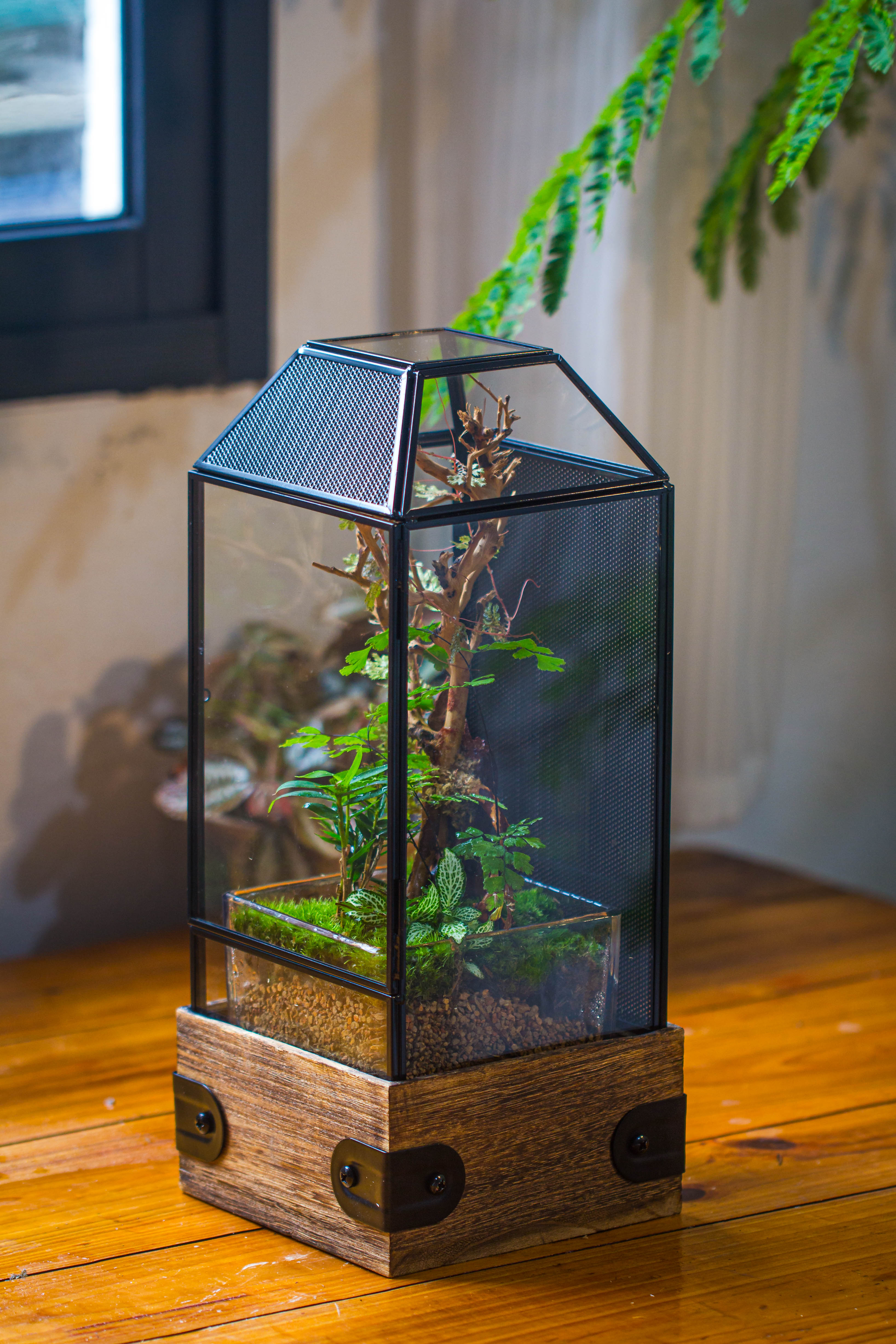 Handmade Glass Terrarium with Wood Base, Geometric Jumping Spider Enclosure, with Mesh Vent, for Plants, Snail, Insects - NCYPgarden