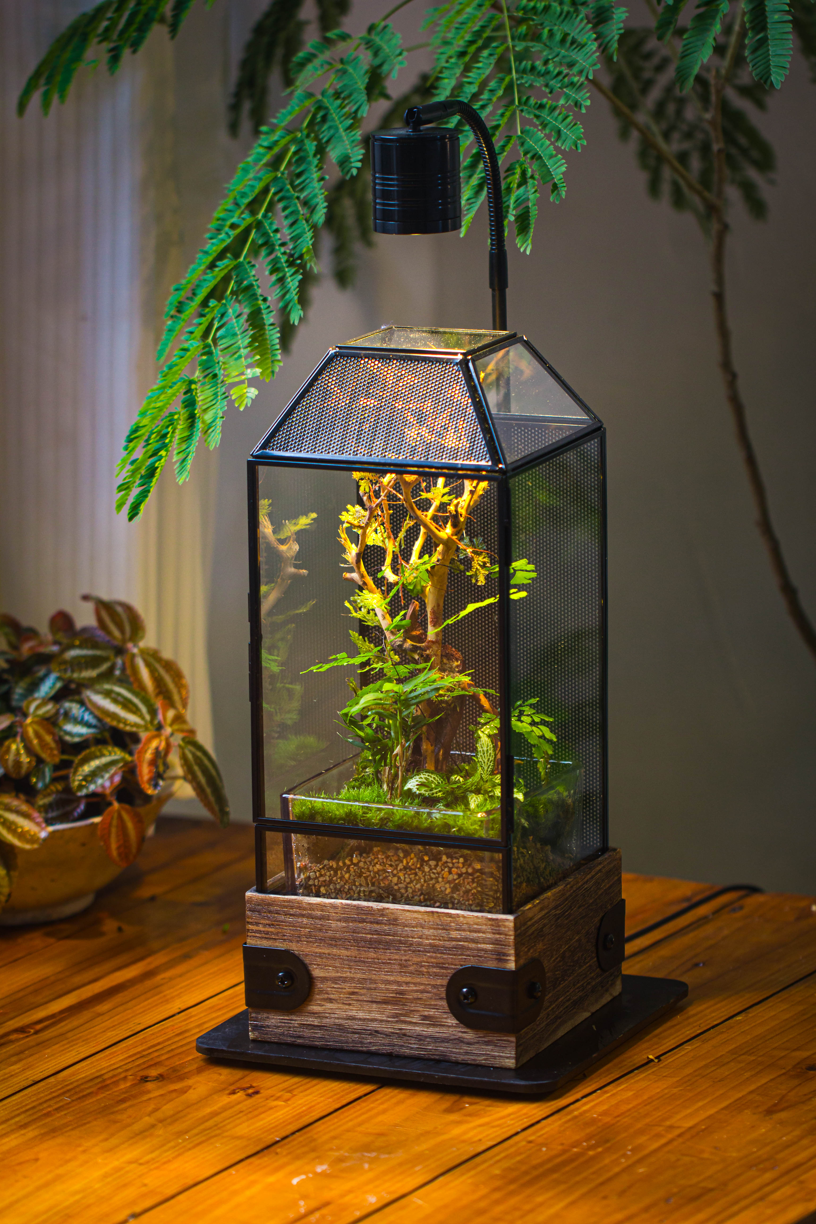 Handmade Glass Terrarium with Wood Base, Geometric Jumping Spider Enclosure, with Mesh Vent, for Plants, Snail, Insects - NCYPgarden