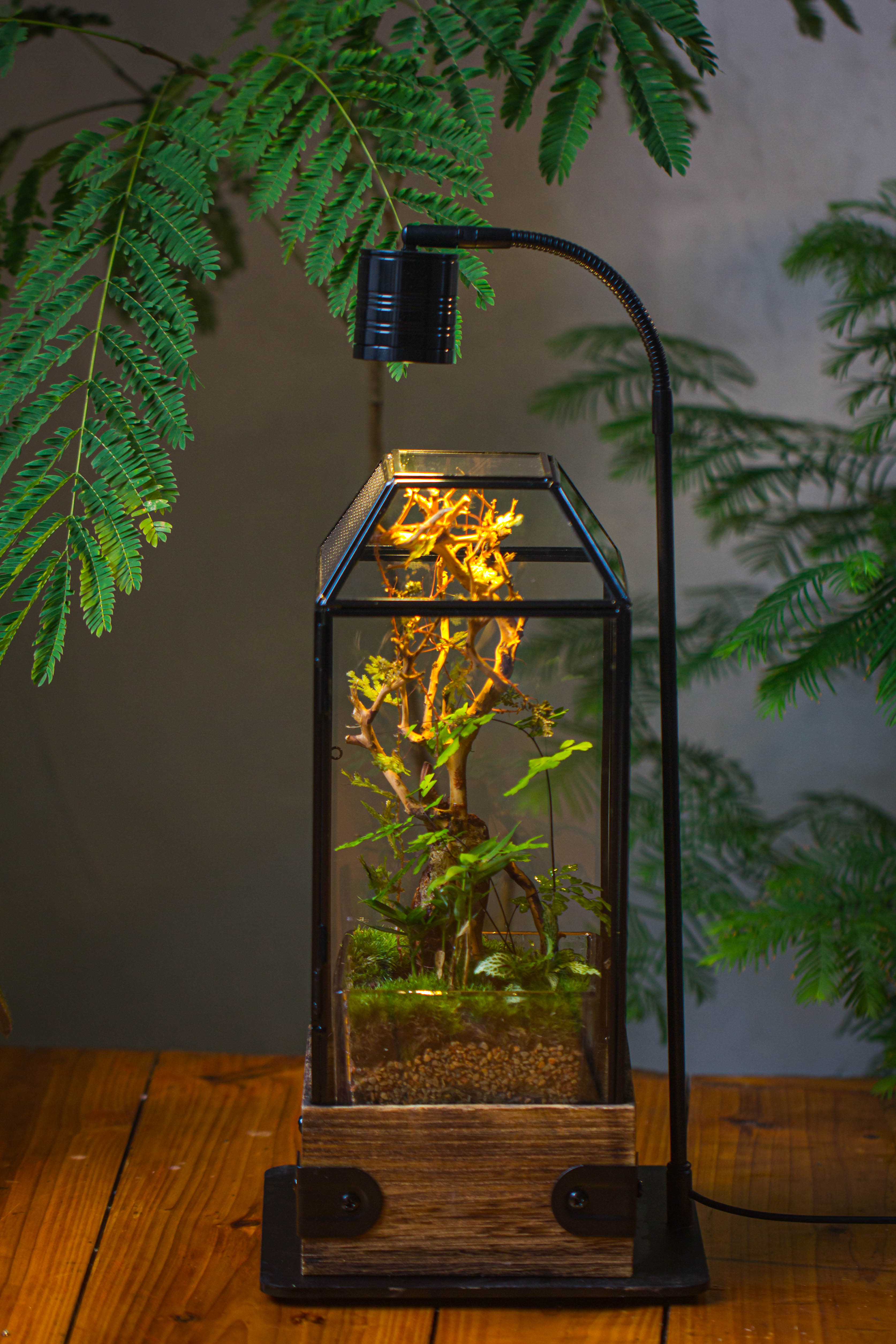 Handmade Glass Terrarium with Wood Base, Geometric Jumping Spider Enclosure, with Mesh Vent, for Plants, Snail, Insects - NCYPgarden