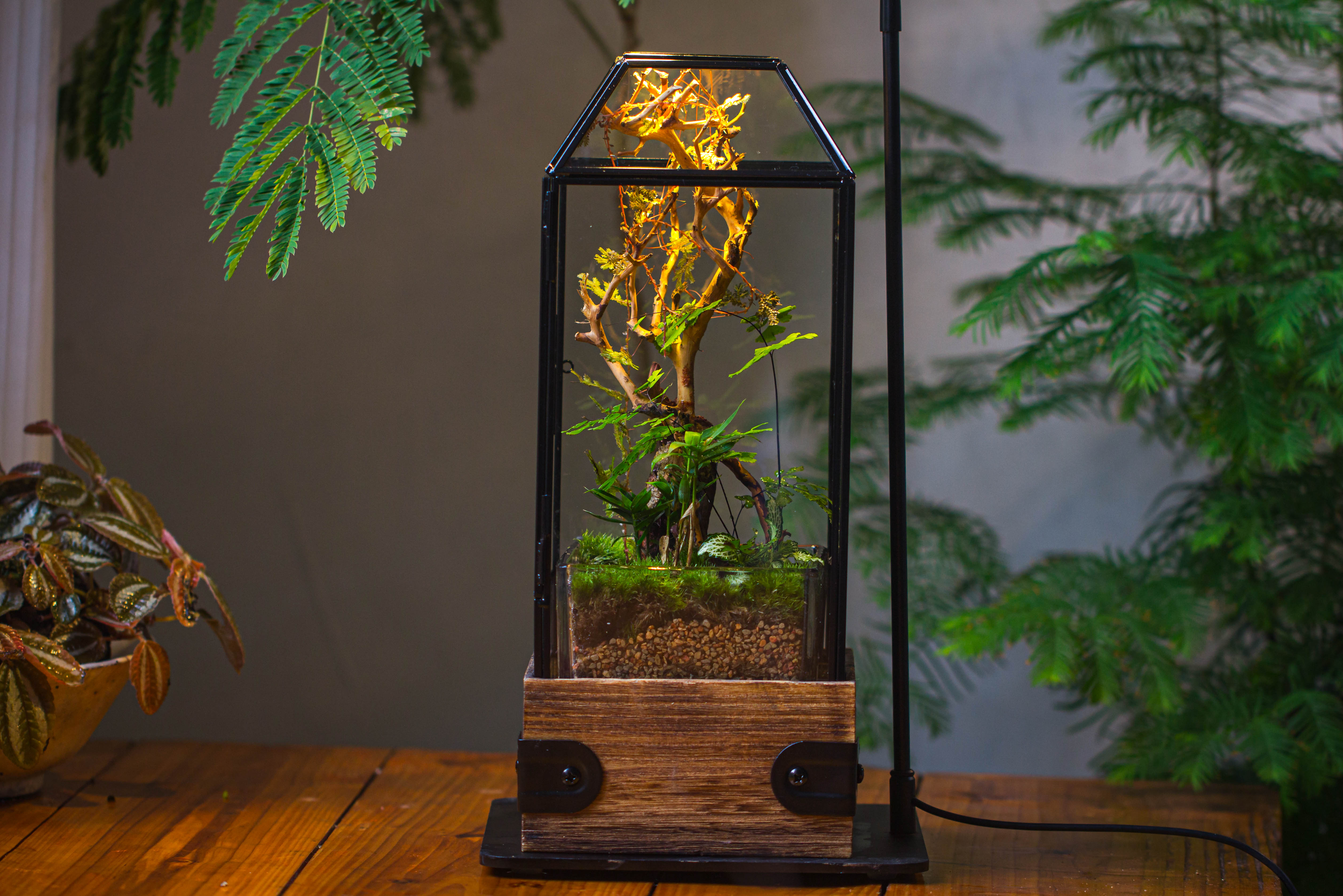 Handmade Glass Terrarium with Wood Base, Geometric Jumping Spider Enclosure, with Mesh Vent, for Plants, Snail, Insects - NCYPgarden