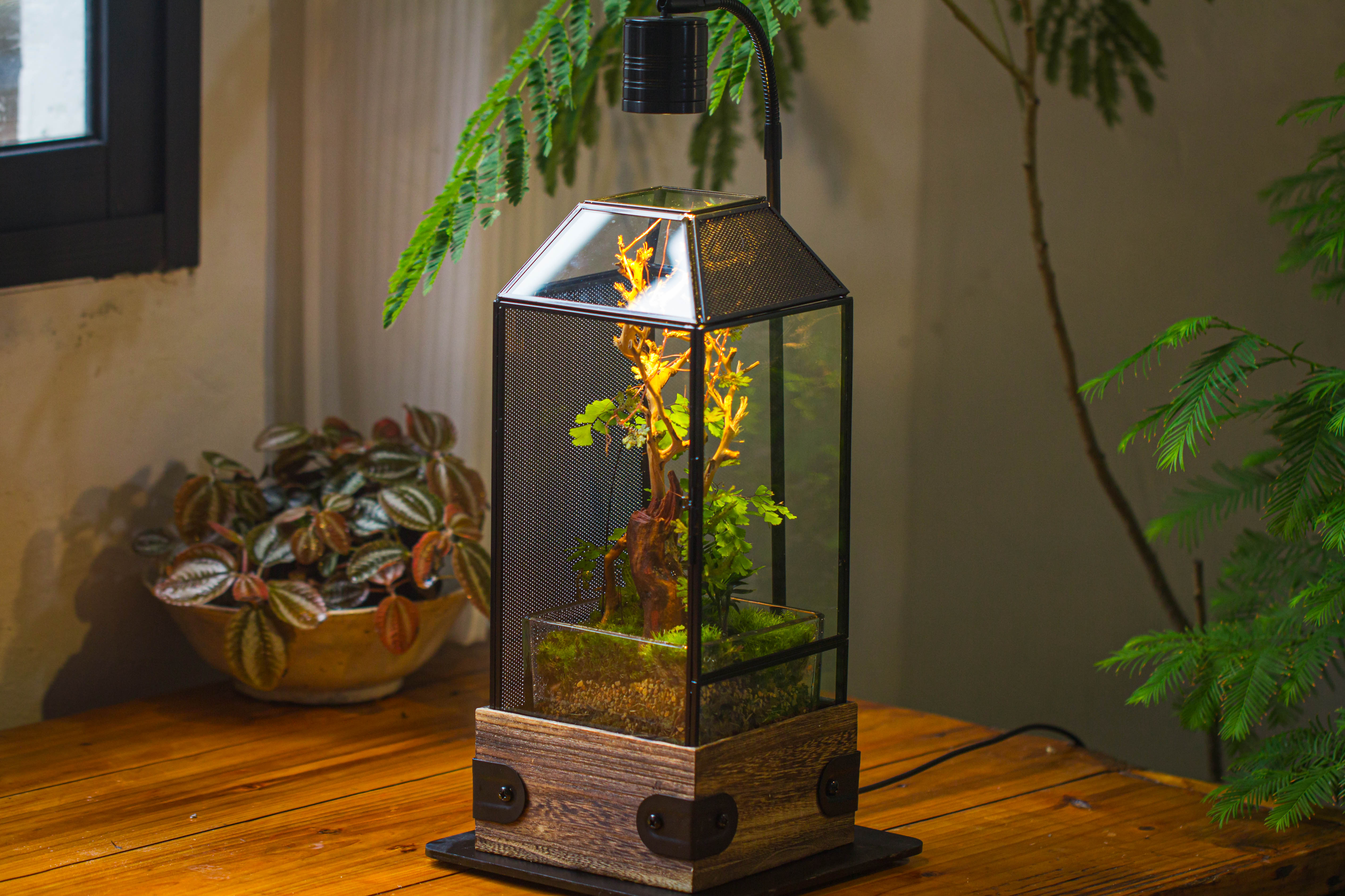 Handmade Glass Terrarium with Wood Base, Geometric Jumping Spider Enclosure, with Mesh Vent, for Plants, Snail, Insects - NCYPgarden