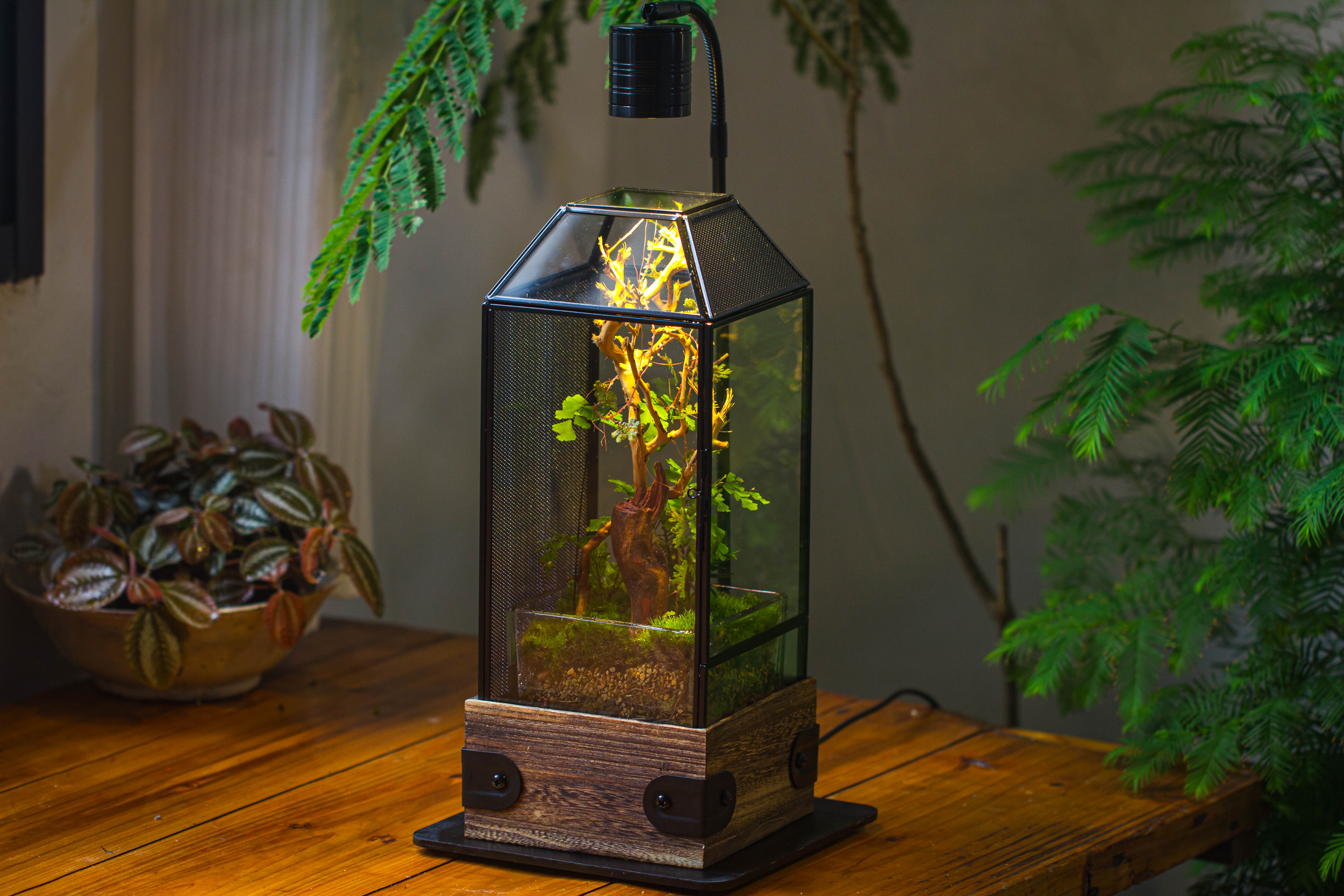 Handmade Glass Terrarium with Wood Base, Geometric Jumping Spider Enclosure, with Mesh Vent, for Plants, Snail, Insects - NCYPgarden