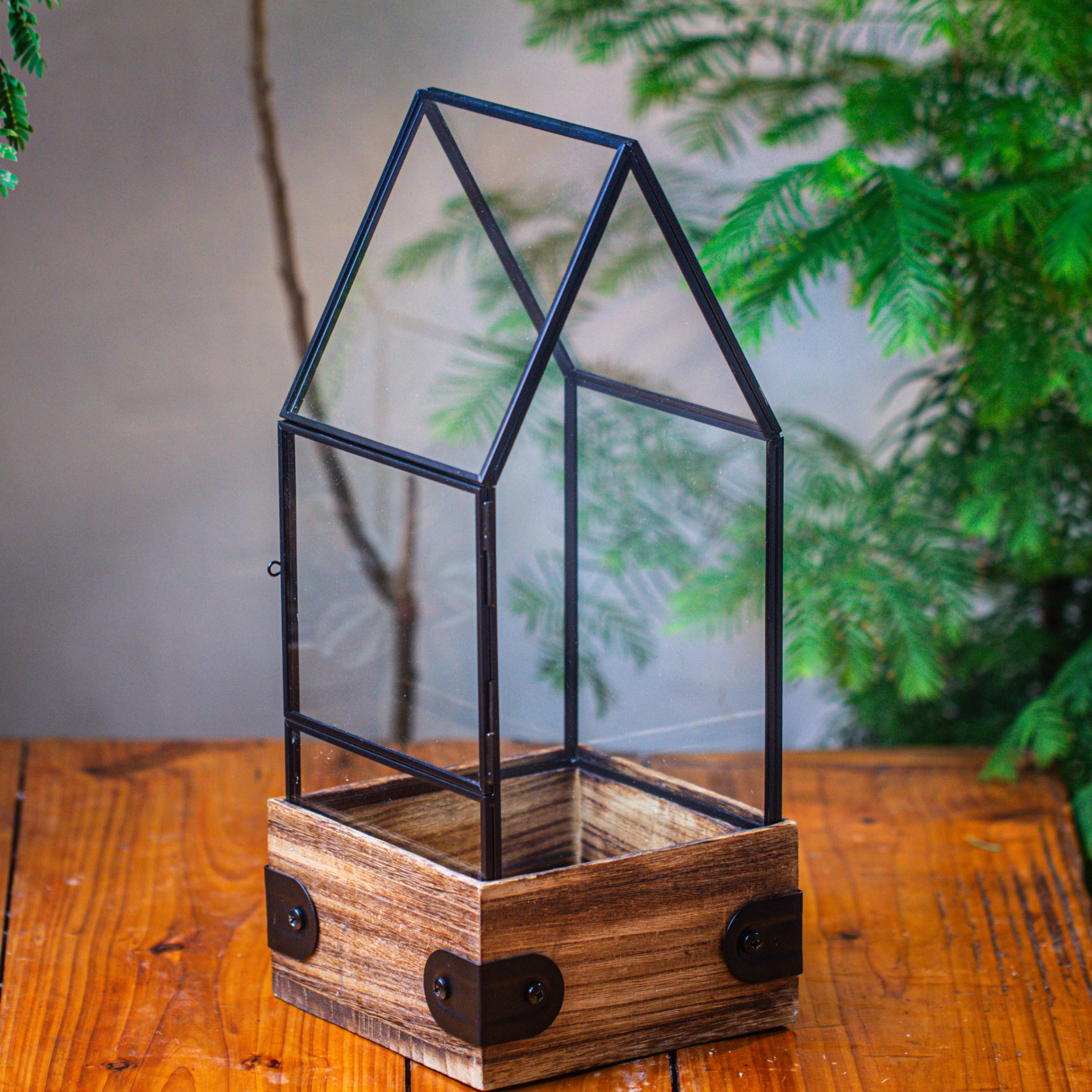 Handmade Glass Terrarium with Wood Base, House Shape Planter with Door, with LED Wood Lamp Base for Plants, Moss Landscapes, Plant Lover Gift - NCYPgarden