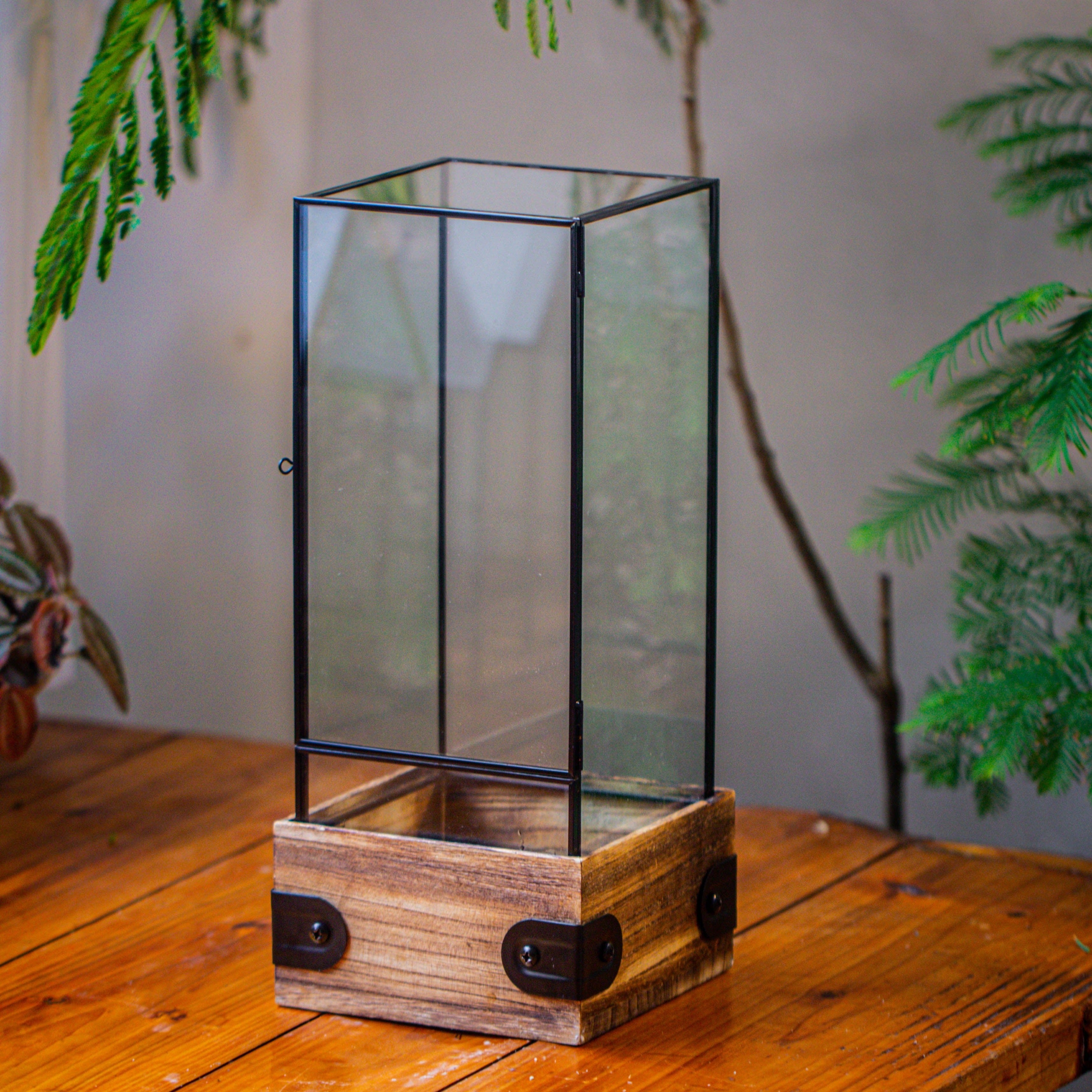 Handmade Glass Terrarium with Wood Base, Rectangular Planter with Door, with LED Acrylic Lamp Base for Plants, Moss Landscapes, Plant Lover Gift - NCYPgarden