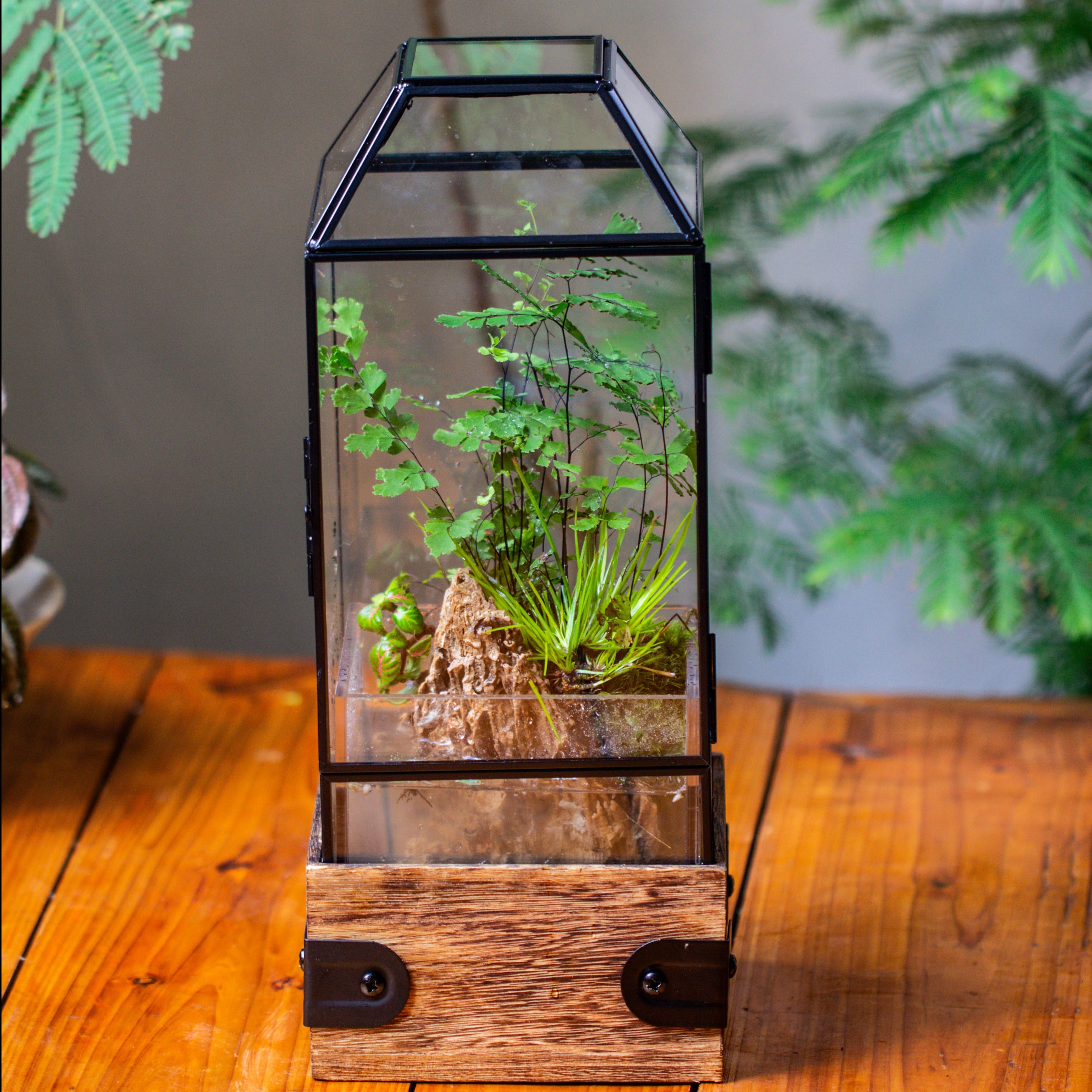 Handmade Glass Terrarium with Wood Base, Geometric  Planter with Door, with LED Acrylic Lamp Base for Plants, Moss Landscapes, Plant Lover Gift - NCYPgarden
