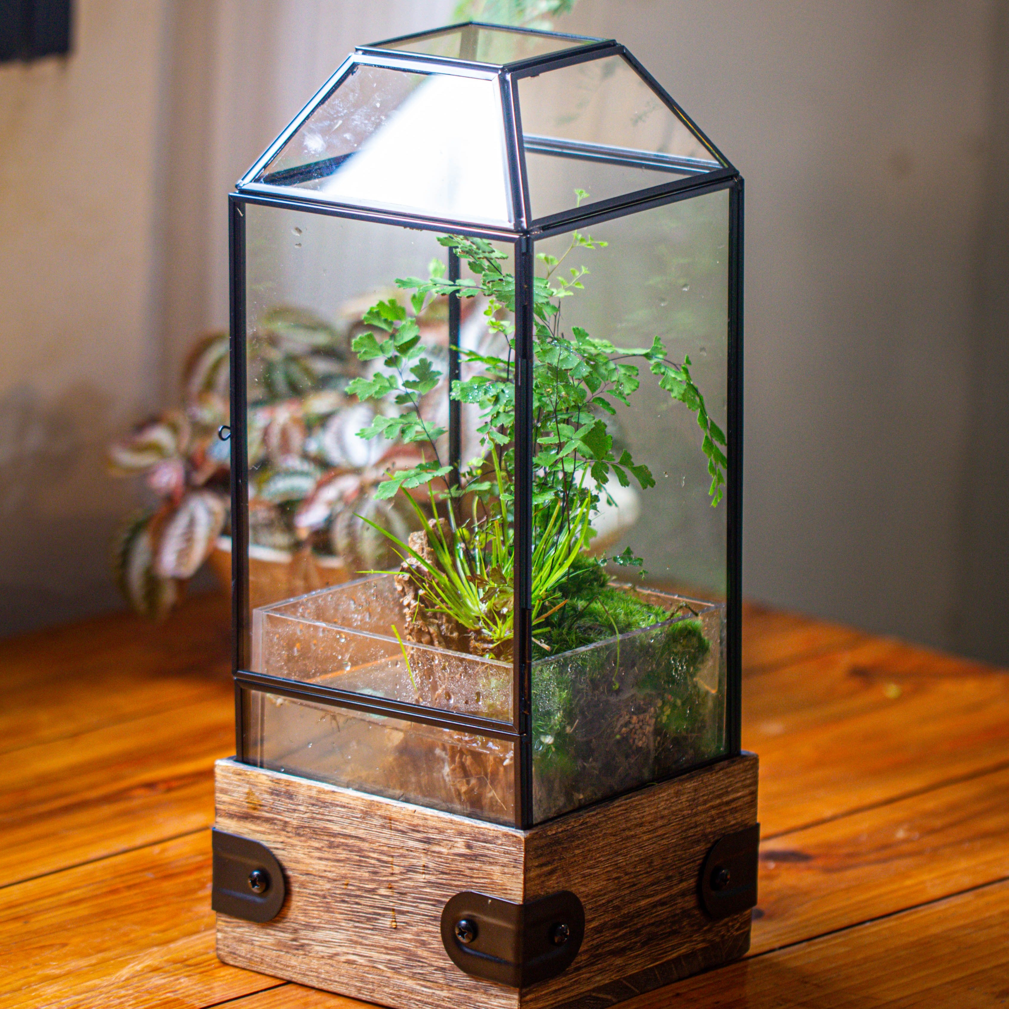 Handmade Glass Terrarium with Wood Base, Geometric  Planter with Door, with LED Acrylic Lamp Base for Plants, Moss Landscapes, Plant Lover Gift - NCYPgarden