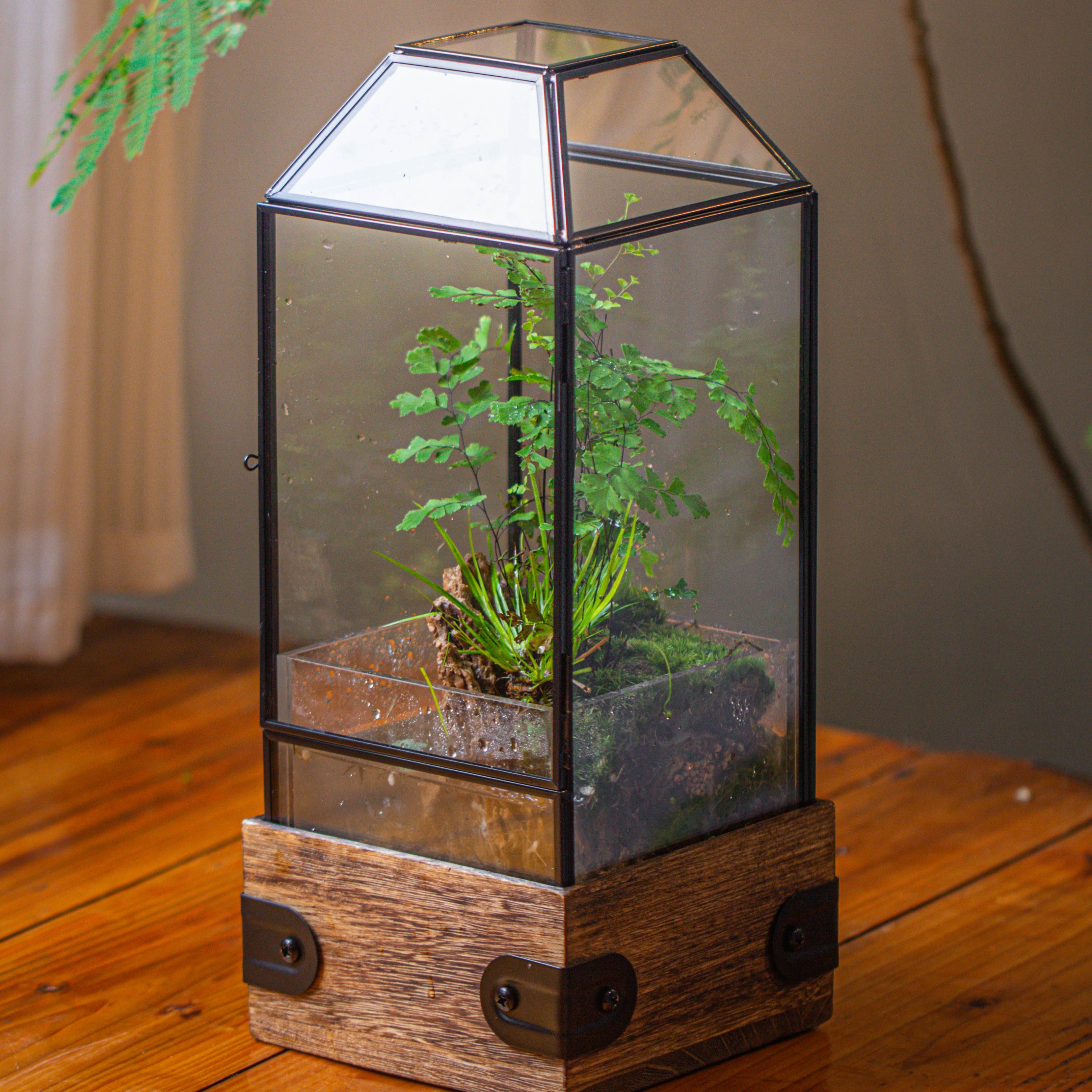 Handmade Glass Terrarium with Wood Base, Geometric  Planter with Door, with LED Acrylic Lamp Base for Plants, Moss Landscapes, Plant Lover Gift - NCYPgarden