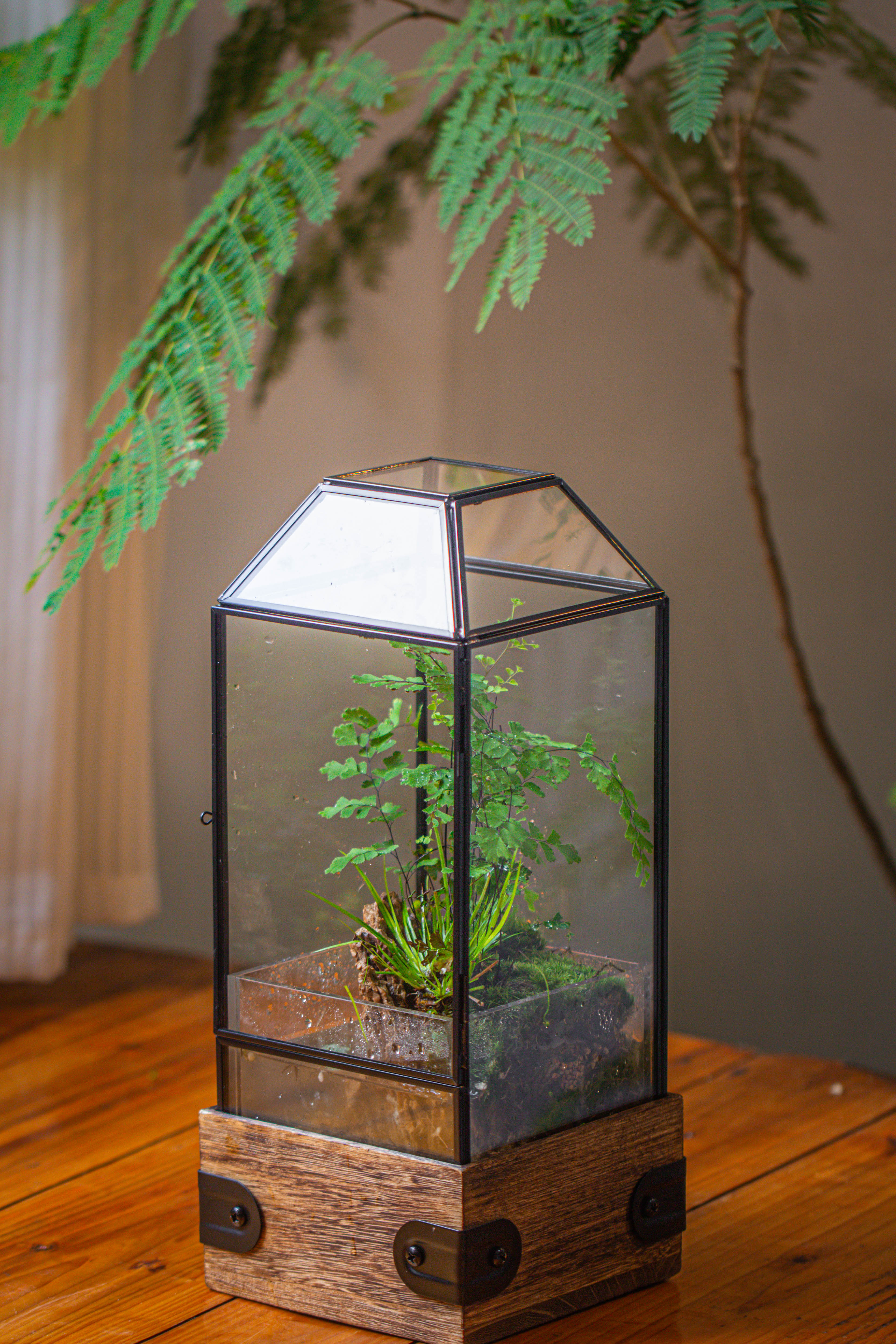Handmade Glass Terrarium with Wood Base, Geometric  Planter with Door, with LED Acrylic Lamp Base for Plants, Moss Landscapes, Plant Lover Gift - NCYPgarden