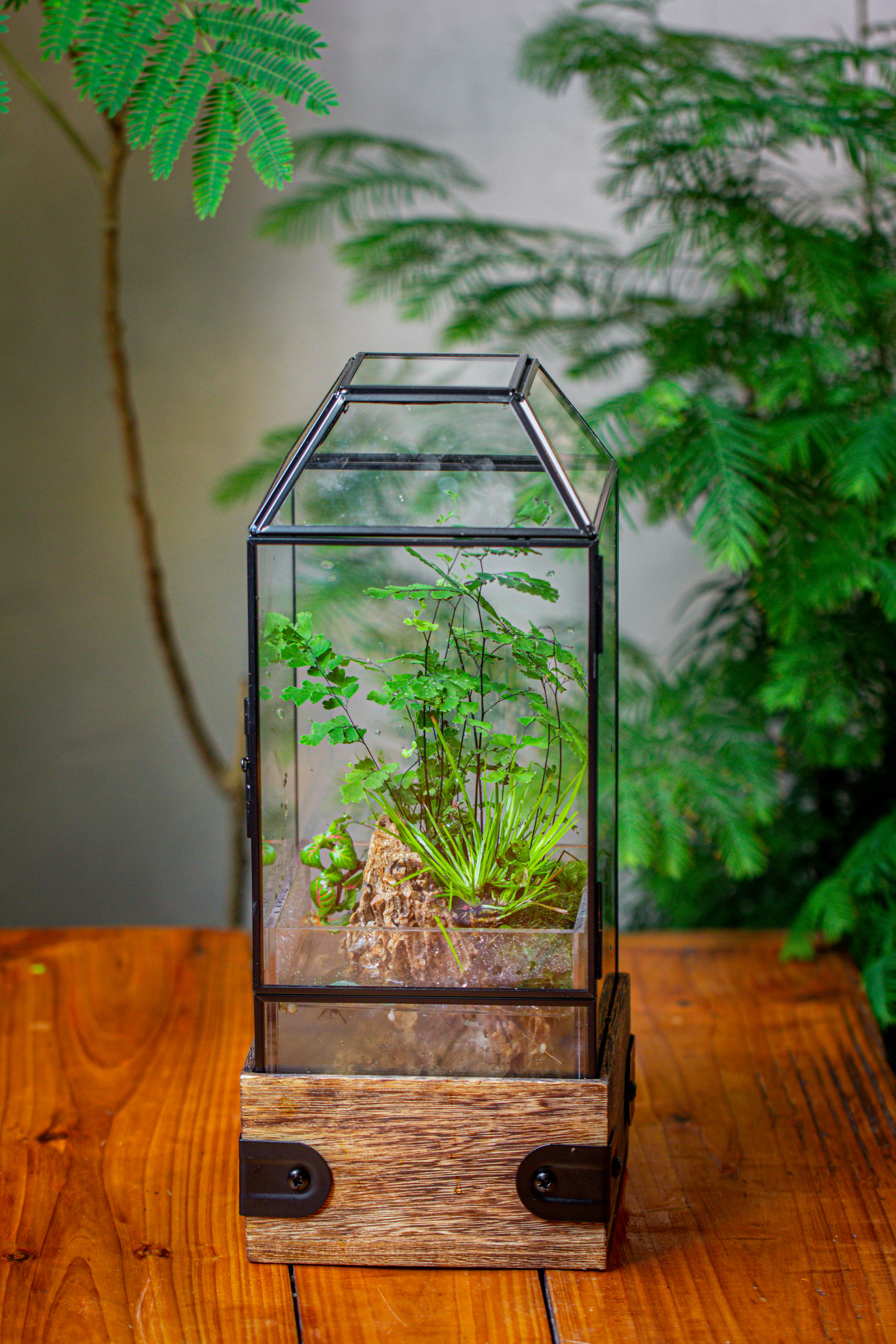 Handmade Glass Terrarium with Wood Base, Geometric  Planter with Door, with LED Acrylic Lamp Base for Plants, Moss Landscapes, Plant Lover Gift - NCYPgarden