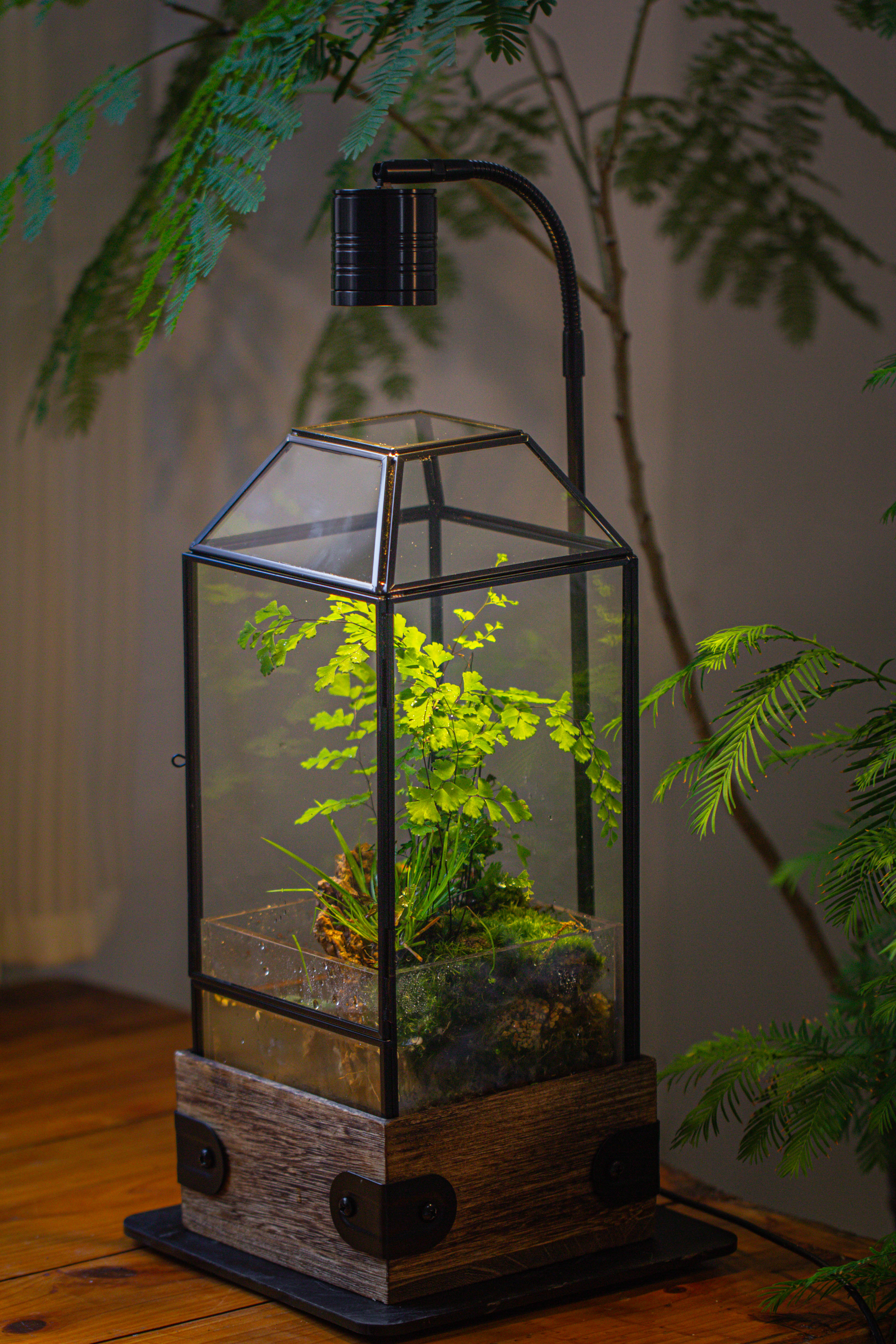 Handmade Glass Terrarium with Wood Base, Geometric  Planter with Door, with LED Acrylic Lamp Base for Plants, Moss Landscapes, Plant Lover Gift - NCYPgarden