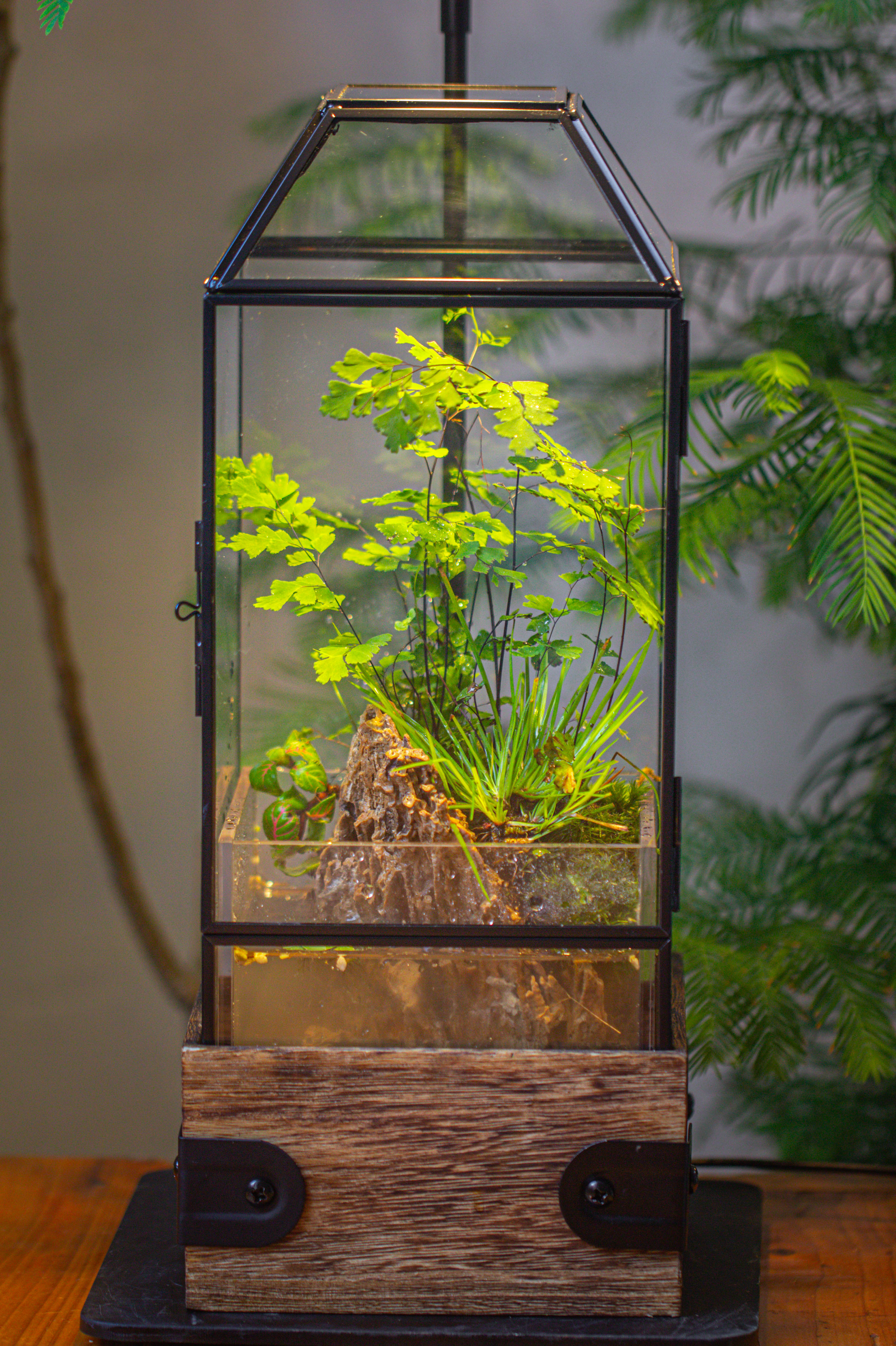 Handmade Glass Terrarium with Wood Base, Geometric  Planter with Door, with LED Acrylic Lamp Base for Plants, Moss Landscapes, Plant Lover Gift - NCYPgarden
