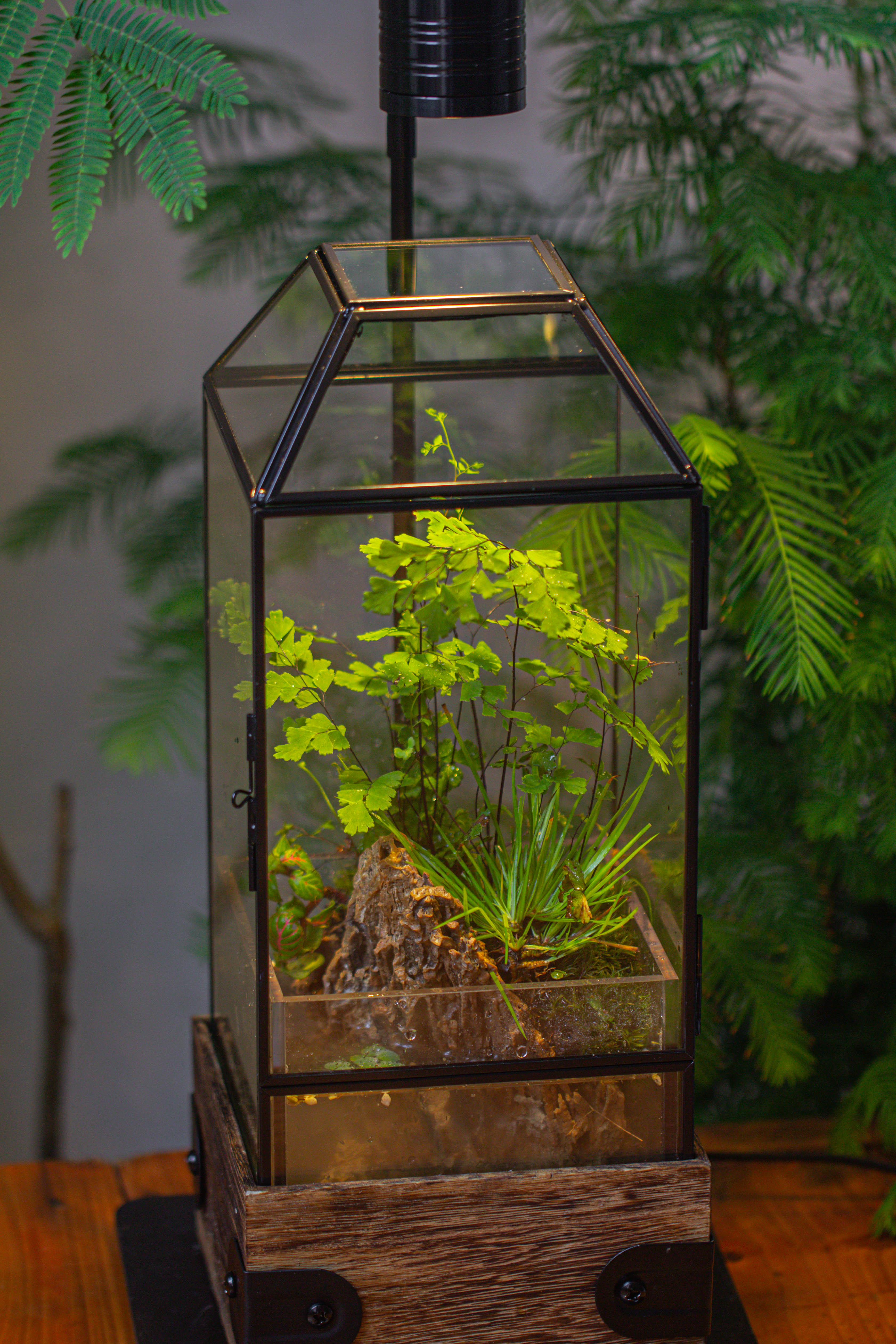 Handmade Glass Terrarium with Wood Base, Geometric  Planter with Door, with LED Acrylic Lamp Base for Plants, Moss Landscapes, Plant Lover Gift - NCYPgarden