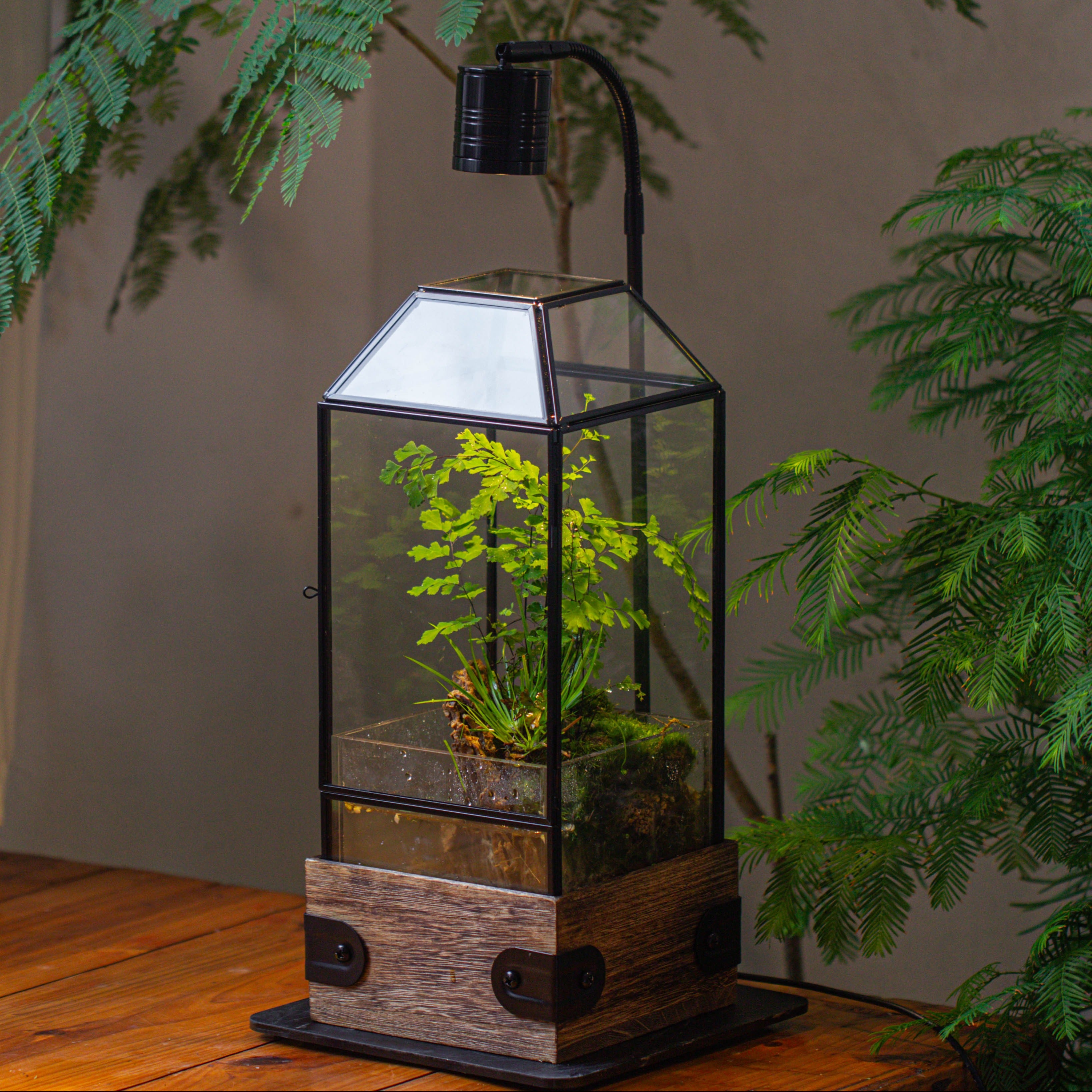 Handmade Glass Terrarium with Wood Base, Geometric  Planter with Door, with LED Acrylic Lamp Base for Plants, Moss Landscapes, Plant Lover Gift - NCYPgarden