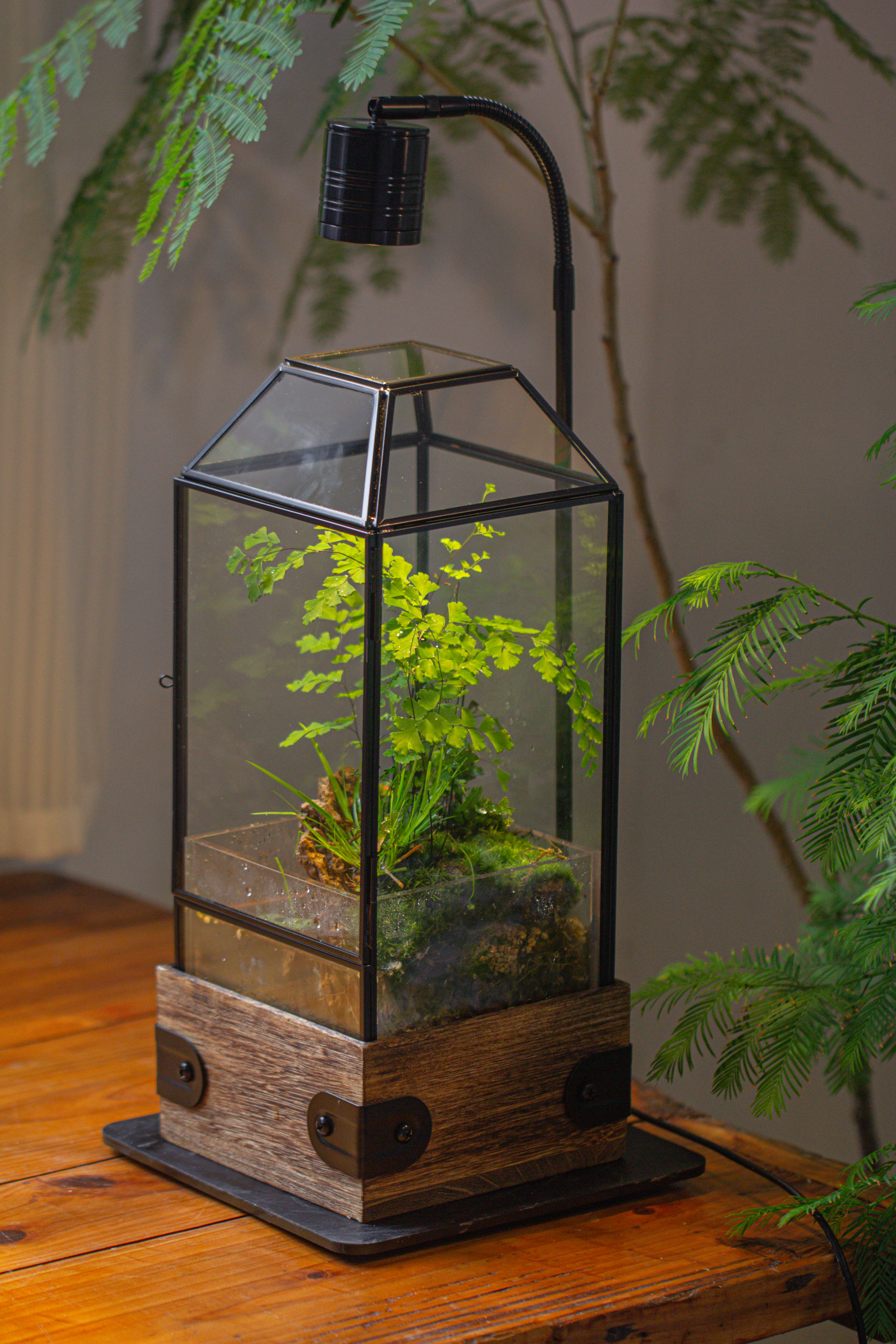 Handmade Glass Terrarium with Wood Base, Geometric  Planter with Door, with LED Acrylic Lamp Base for Plants, Moss Landscapes, Plant Lover Gift - NCYPgarden