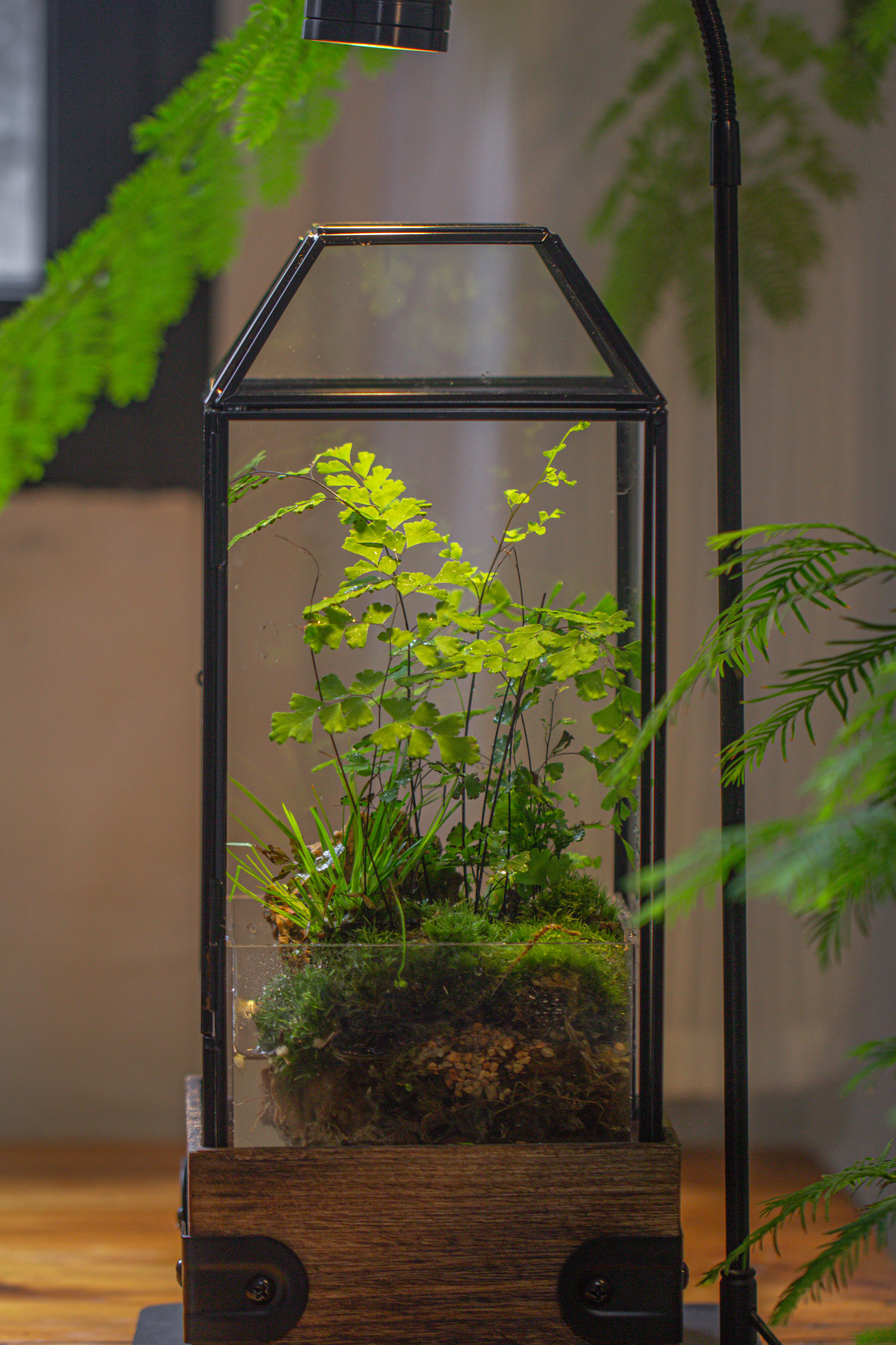 Handmade Glass Terrarium with Wood Base, Geometric  Planter with Door, with LED Acrylic Lamp Base for Plants, Moss Landscapes, Plant Lover Gift - NCYPgarden