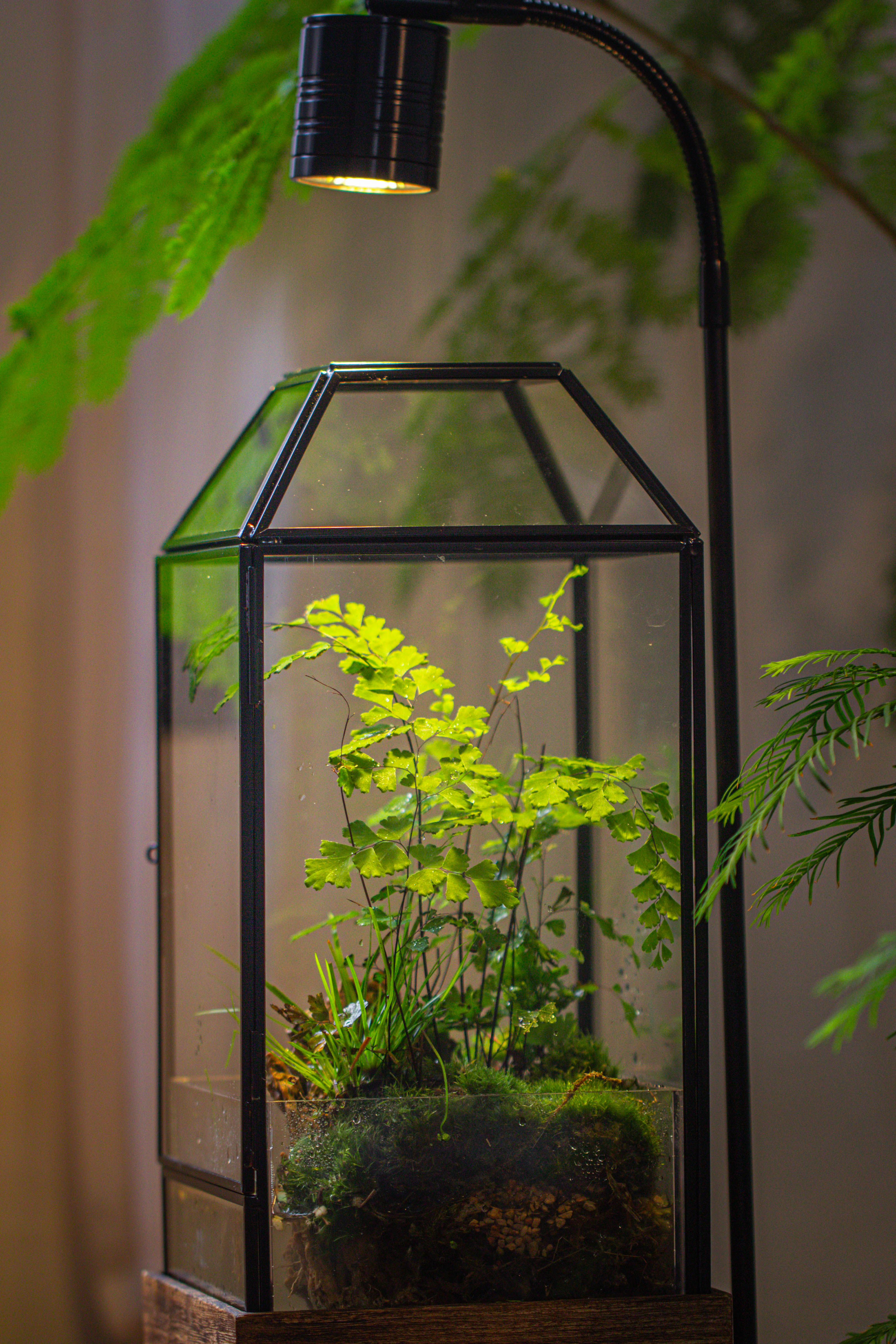 Handmade Glass Terrarium with Wood Base, Geometric  Planter with Door, with LED Acrylic Lamp Base for Plants, Moss Landscapes, Plant Lover Gift - NCYPgarden