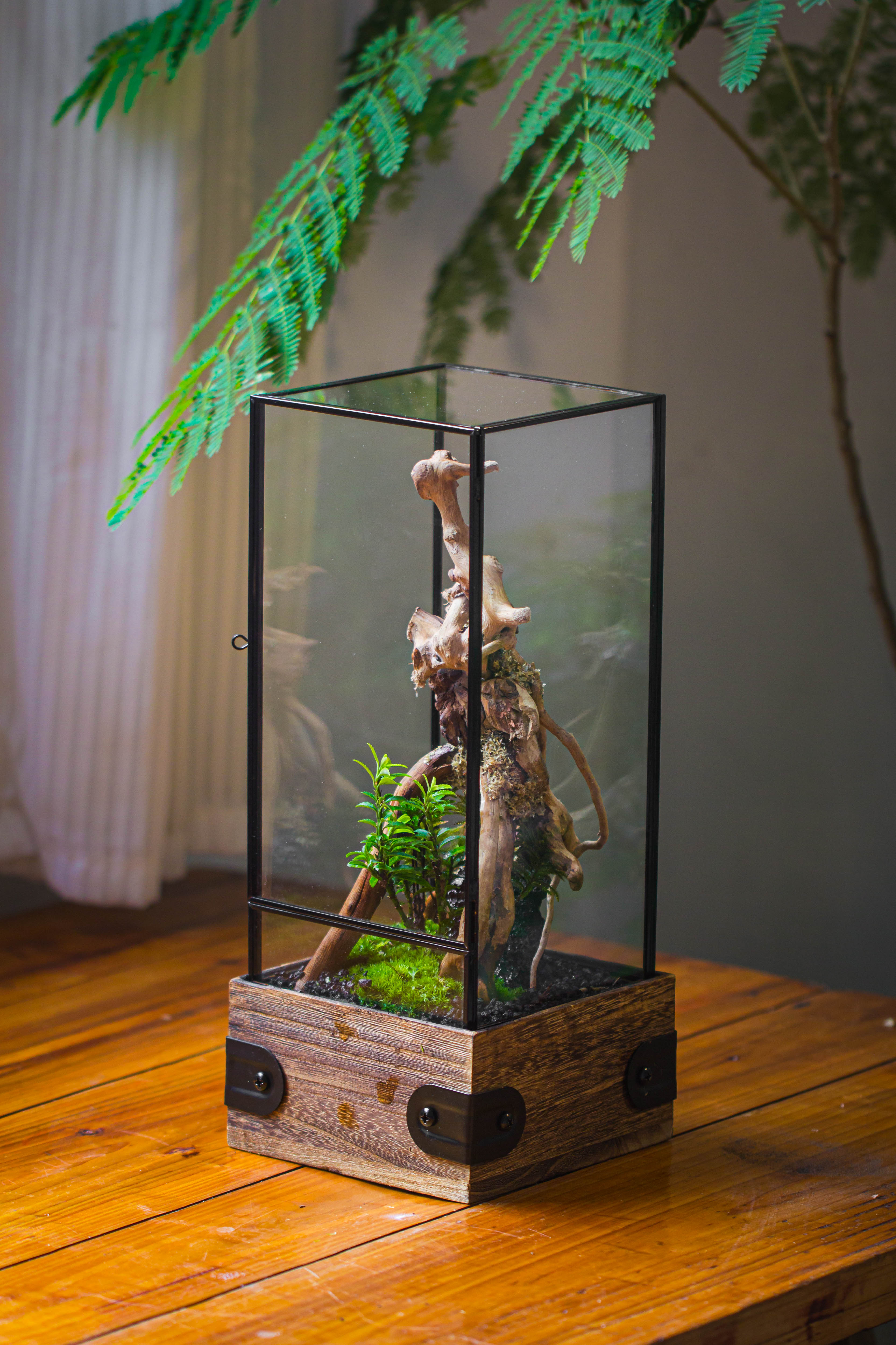 Handmade Glass Terrarium with Wood Base, Rectangular Planter with Door, with LED Acrylic Lamp Base for Plants, Moss Landscapes, Plant Lover Gift - NCYPgarden