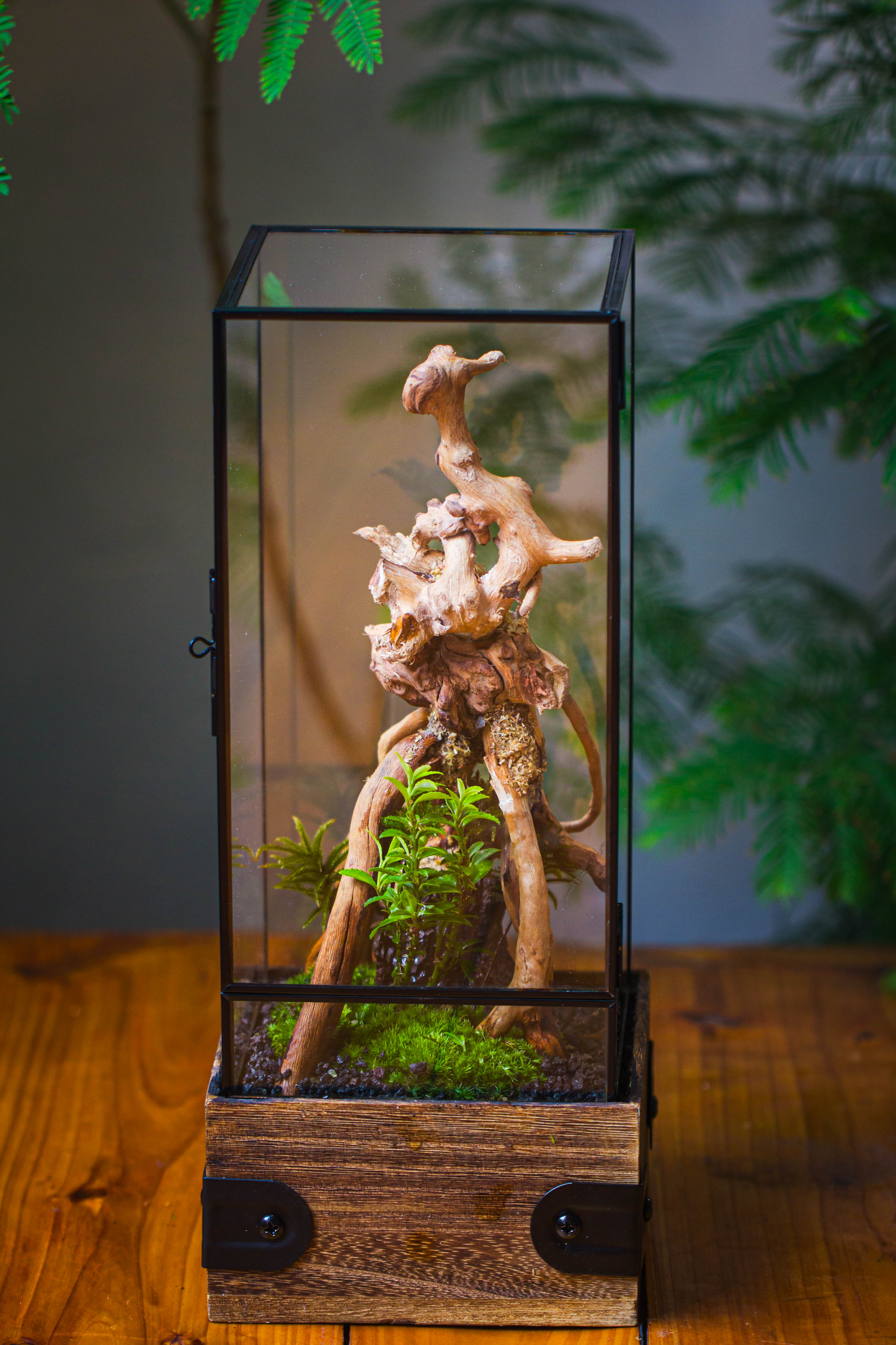 Handmade Glass Terrarium with Wood Base, Rectangular Planter with Door, with LED Acrylic Lamp Base for Plants, Moss Landscapes, Plant Lover Gift - NCYPgarden