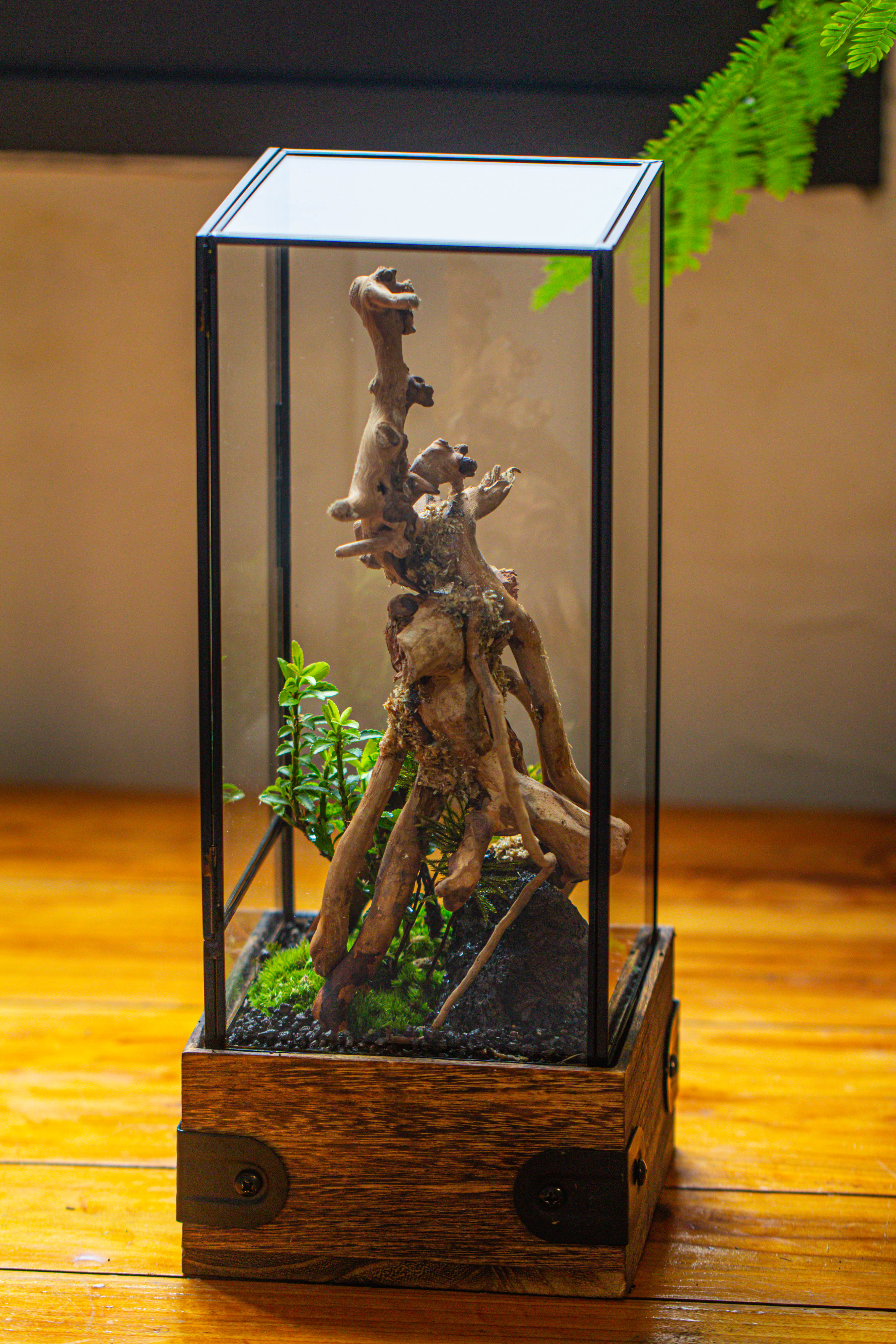 Handmade Glass Terrarium with Wood Base, Rectangular Planter with Door, with LED Acrylic Lamp Base for Plants, Moss Landscapes, Plant Lover Gift - NCYPgarden