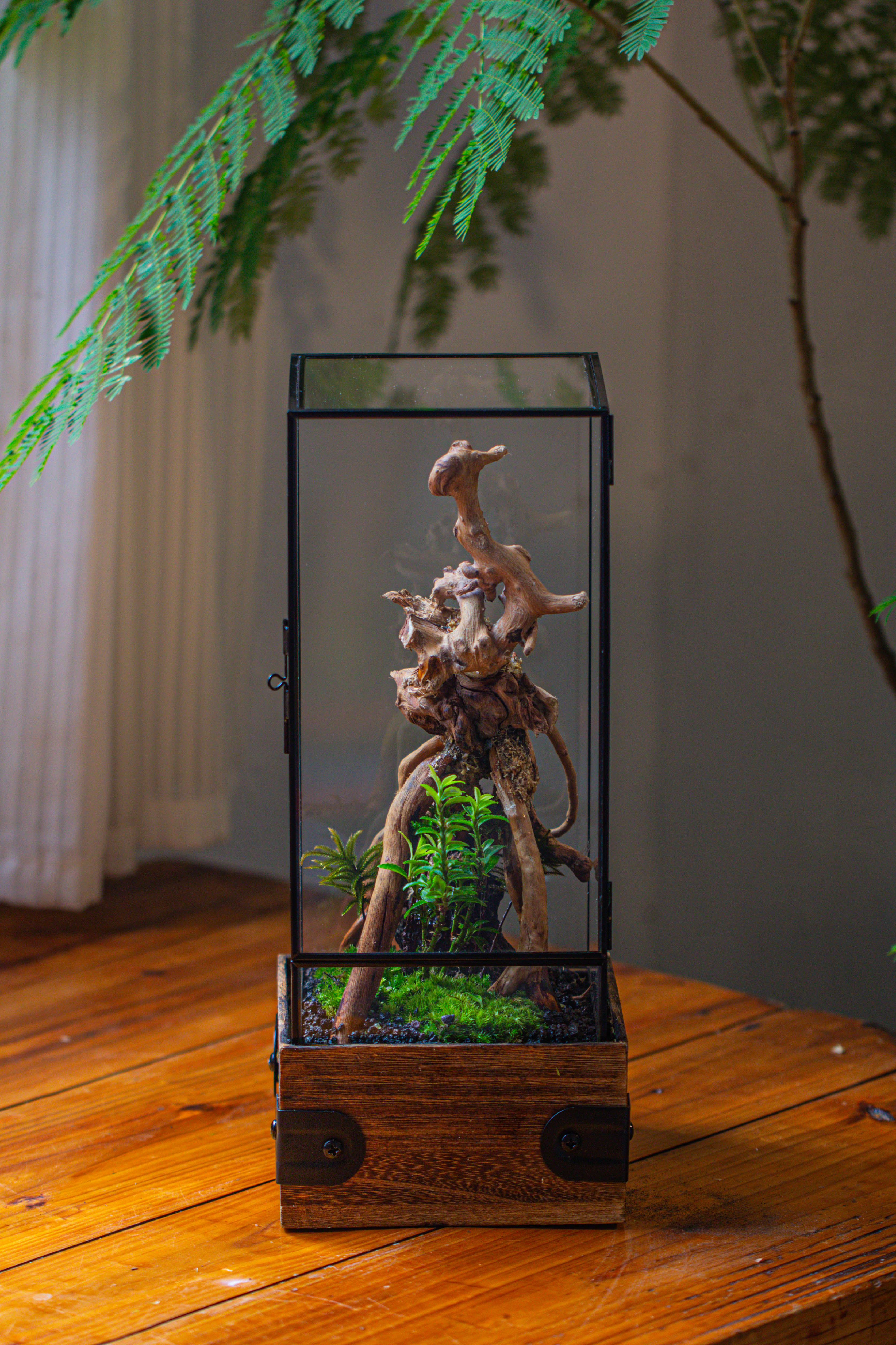 Handmade Glass Terrarium with Wood Base, Rectangular Planter with Door, with LED Acrylic Lamp Base for Plants, Moss Landscapes, Plant Lover Gift - NCYPgarden