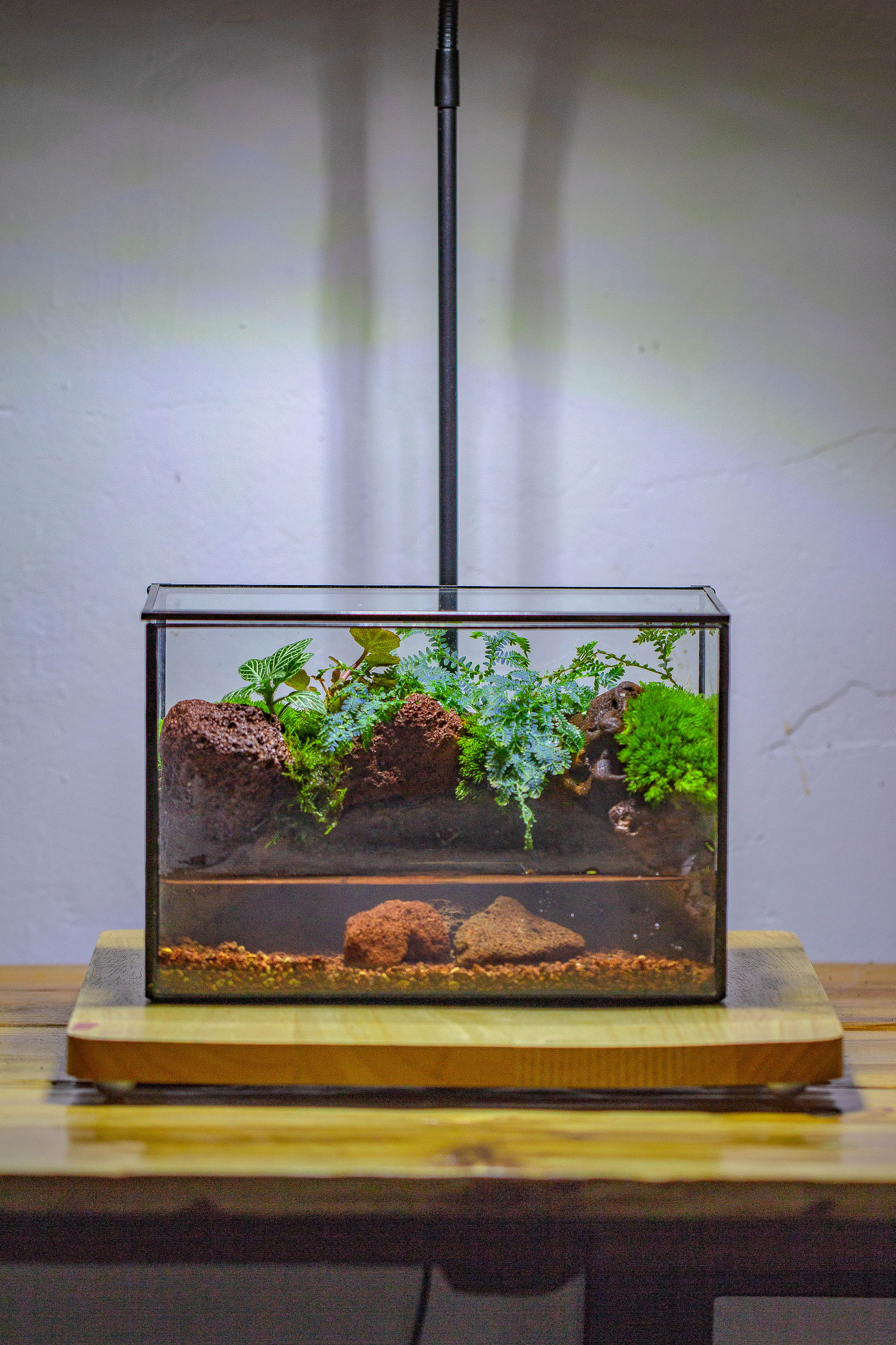 NCYP Watertight Close Rectangle Geometric Glass Tin Terrarium, for small waterpond, moss landscape, Live Miniature, water pond, landscape - NCYPgarden