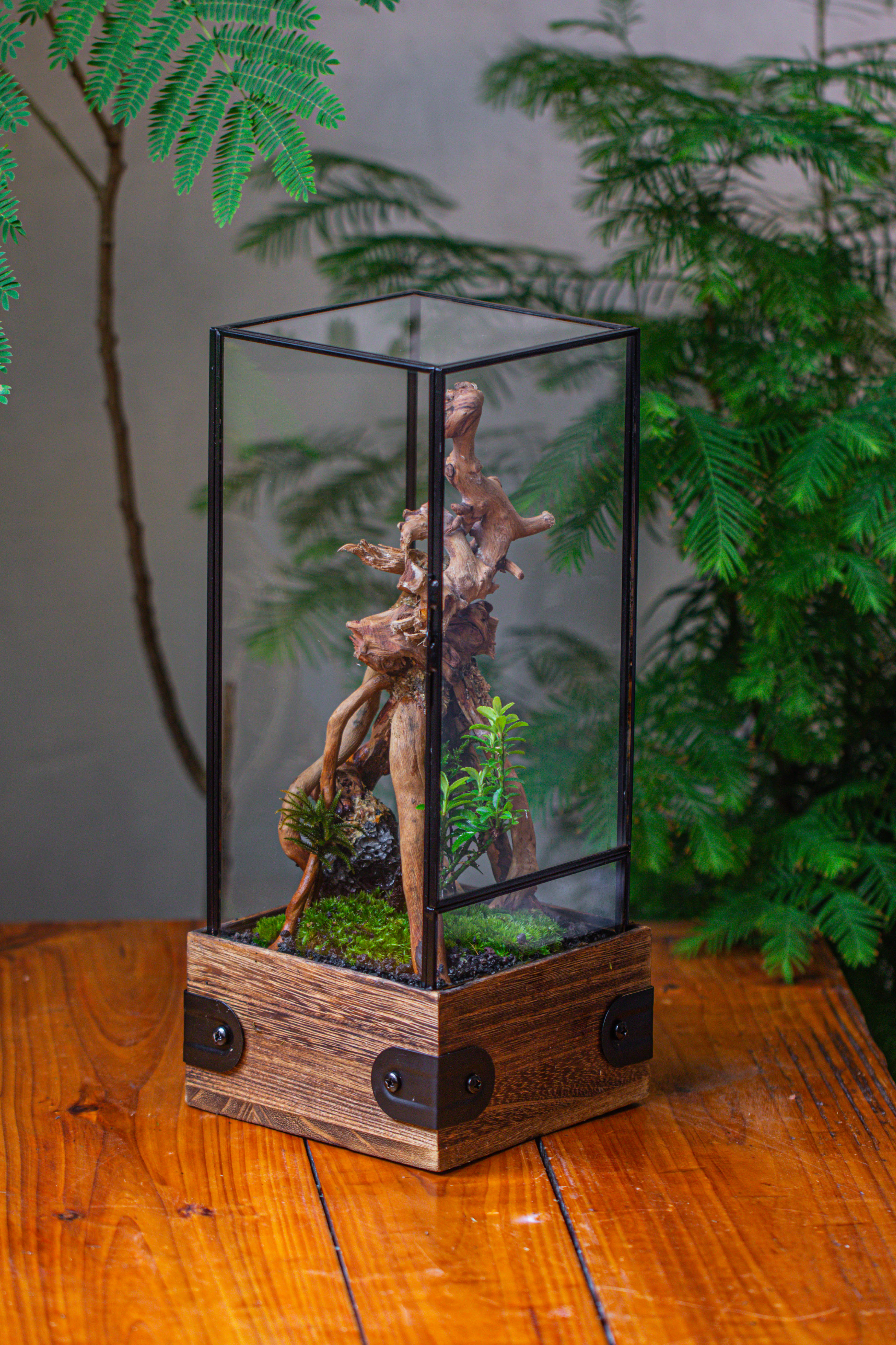 Handmade Glass Terrarium with Wood Base, Rectangular Planter with Door, with LED Acrylic Lamp Base for Plants, Moss Landscapes, Plant Lover Gift - NCYPgarden