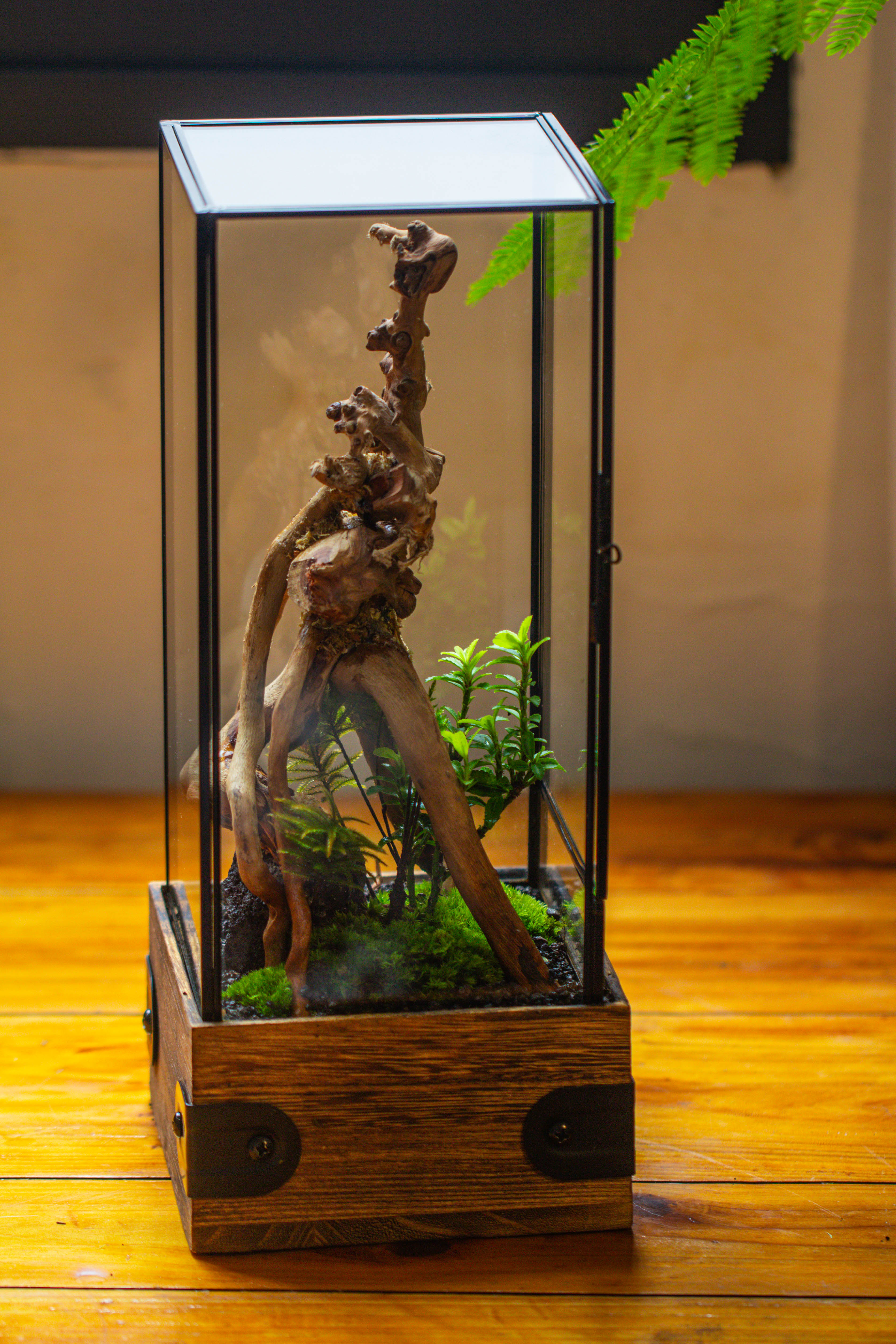 Handmade Glass Terrarium with Wood Base, Rectangular Planter with Door, with LED Acrylic Lamp Base for Plants, Moss Landscapes, Plant Lover Gift - NCYPgarden