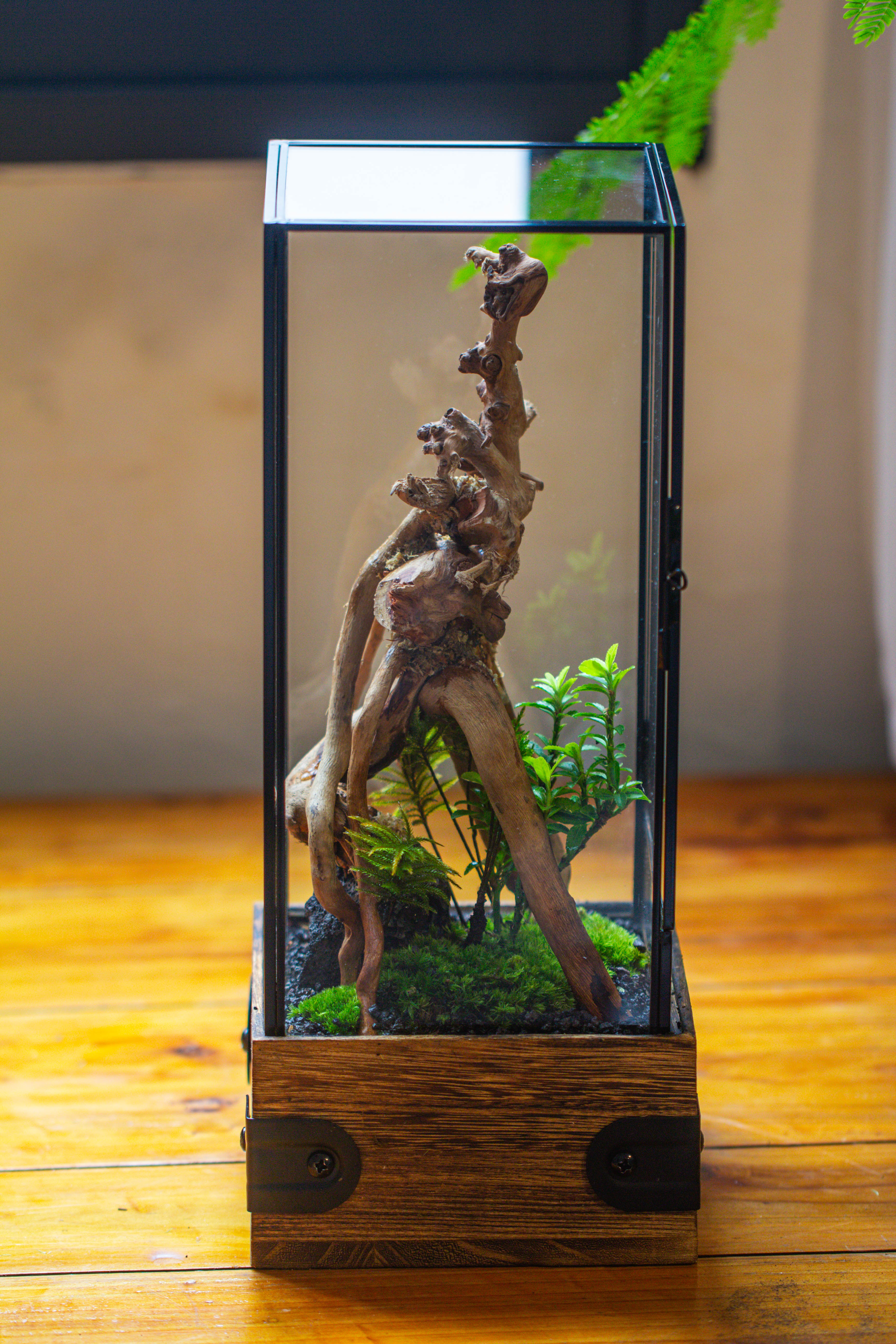 Handmade Glass Terrarium with Wood Base, Rectangular Planter with Door, with LED Acrylic Lamp Base for Plants, Moss Landscapes, Plant Lover Gift - NCYPgarden