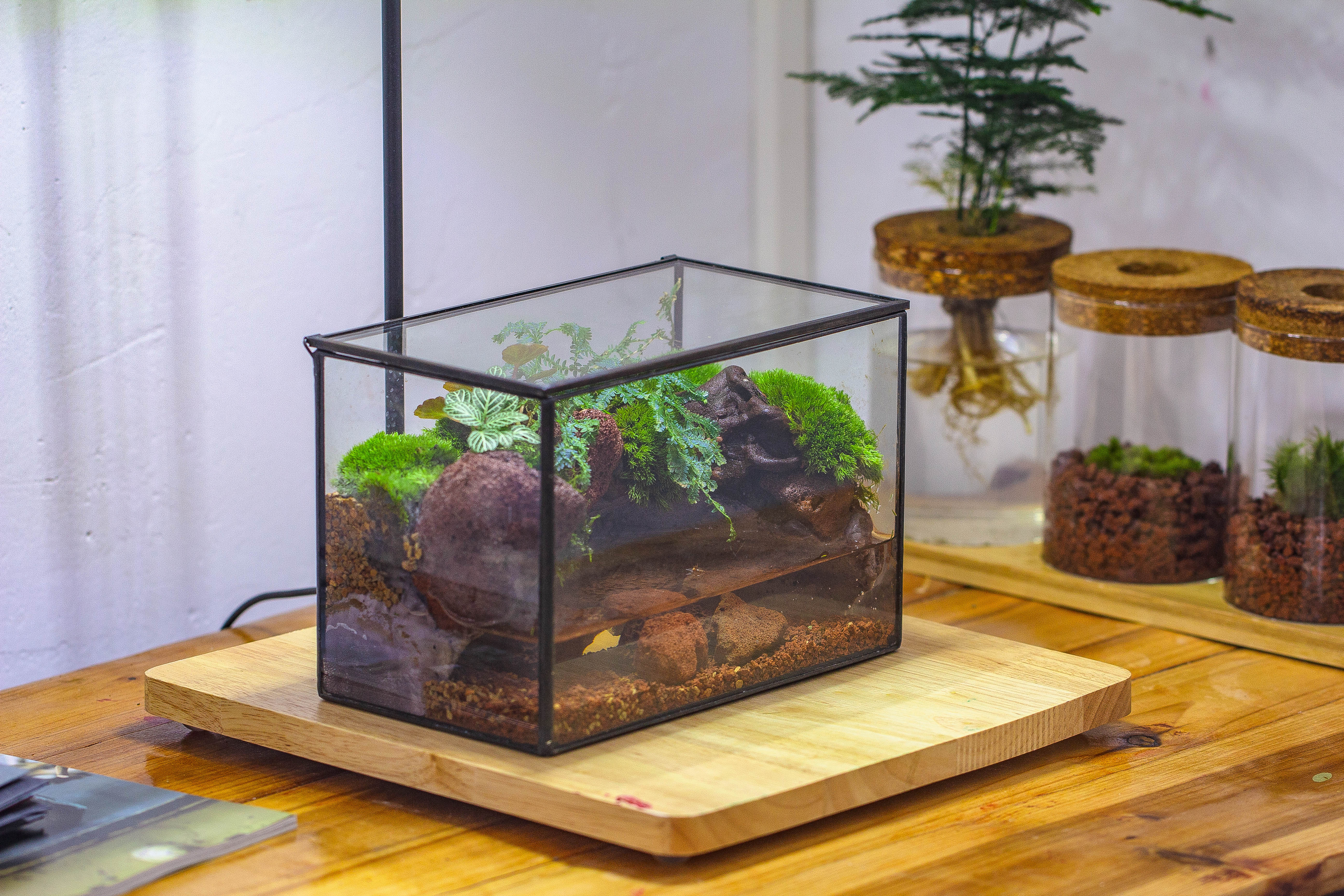 NCYP Watertight Close Rectangle Geometric Glass Tin Terrarium, for small waterpond, moss landscape, Live Miniature, water pond, landscape - NCYPgarden