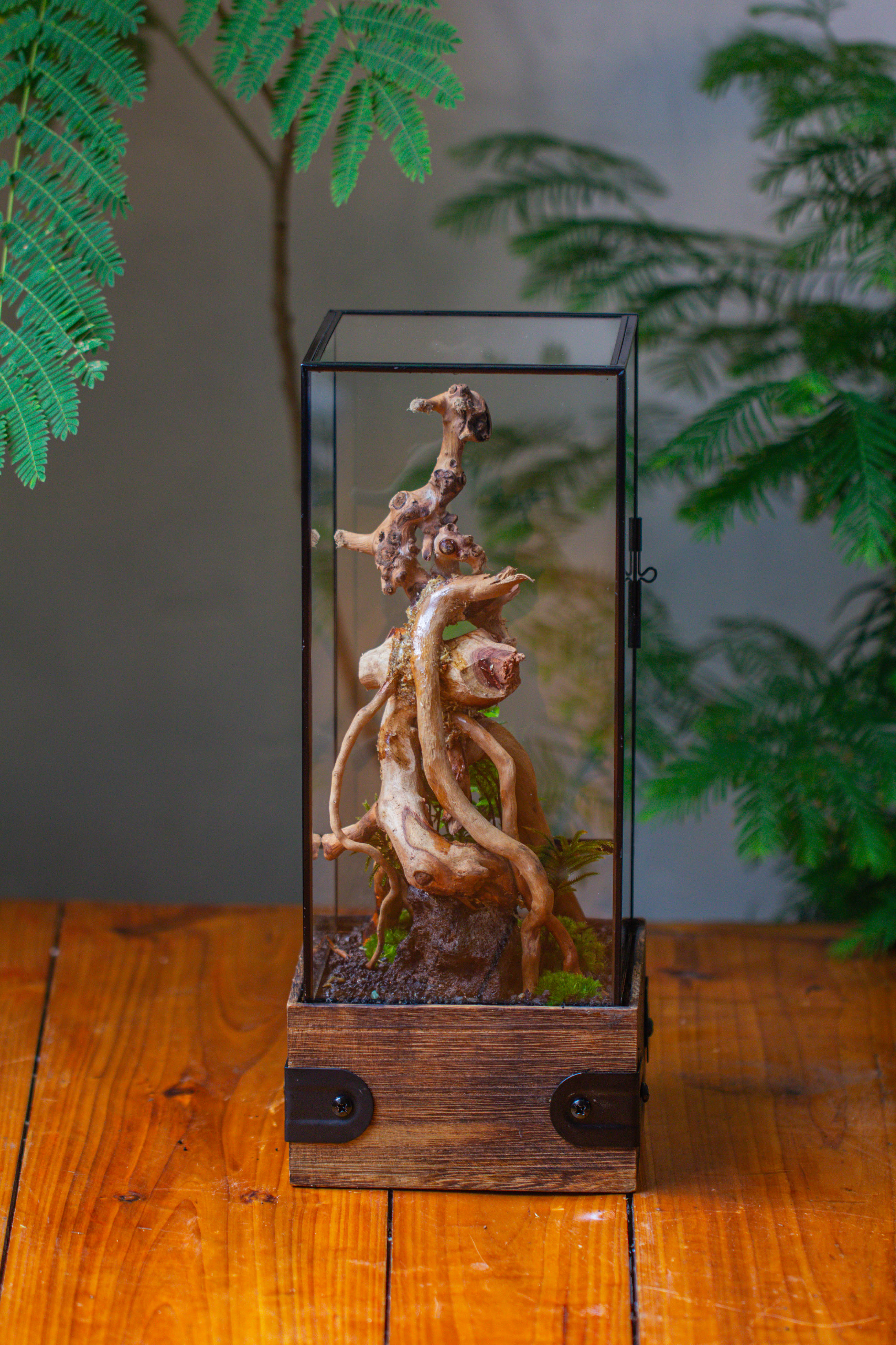 Handmade Glass Terrarium with Wood Base, Rectangular Planter with Door, with LED Acrylic Lamp Base for Plants, Moss Landscapes, Plant Lover Gift - NCYPgarden