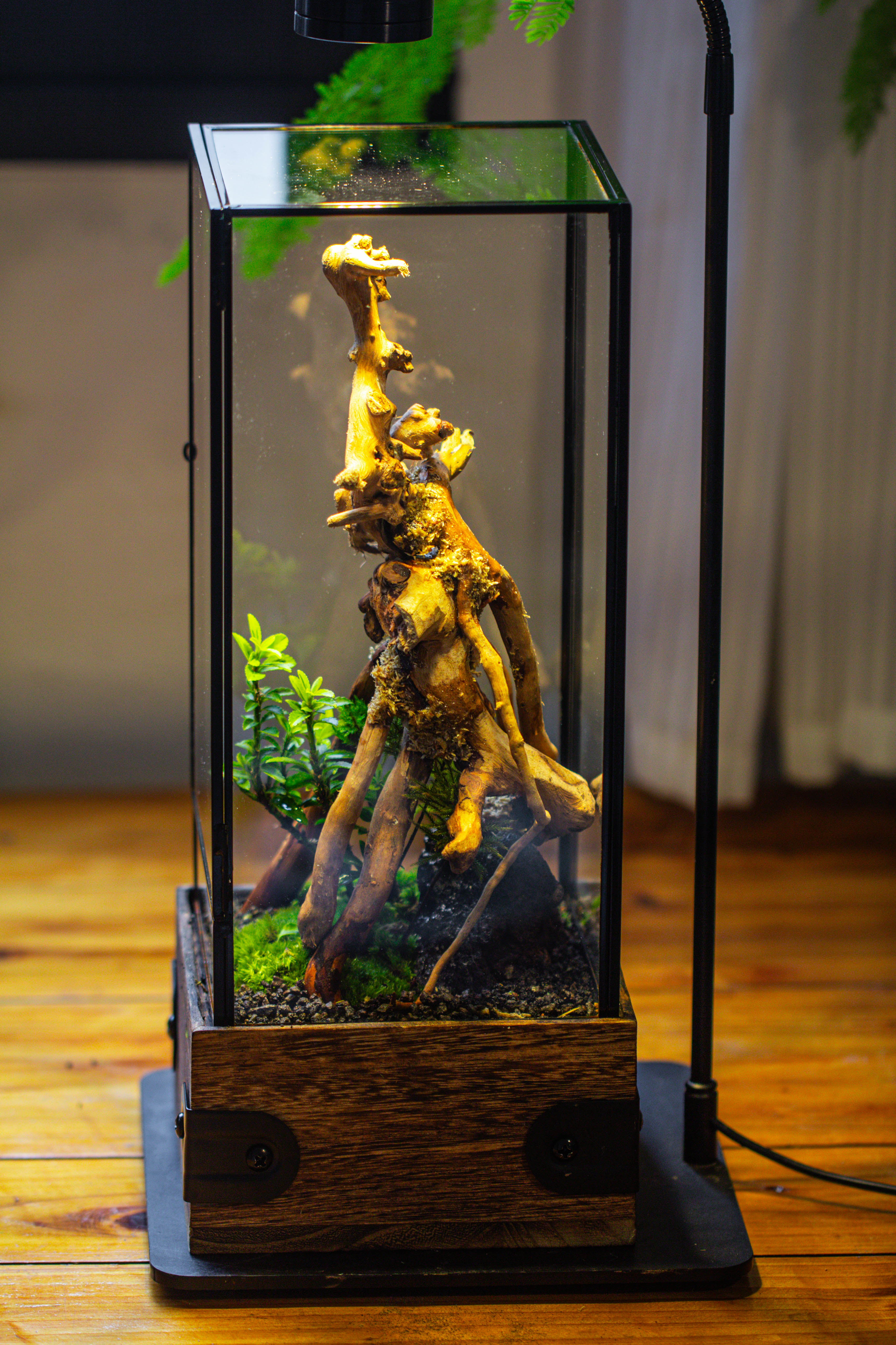 Handmade Glass Terrarium with Wood Base, Rectangular Planter with Door, with LED Acrylic Lamp Base for Plants, Moss Landscapes, Plant Lover Gift - NCYPgarden