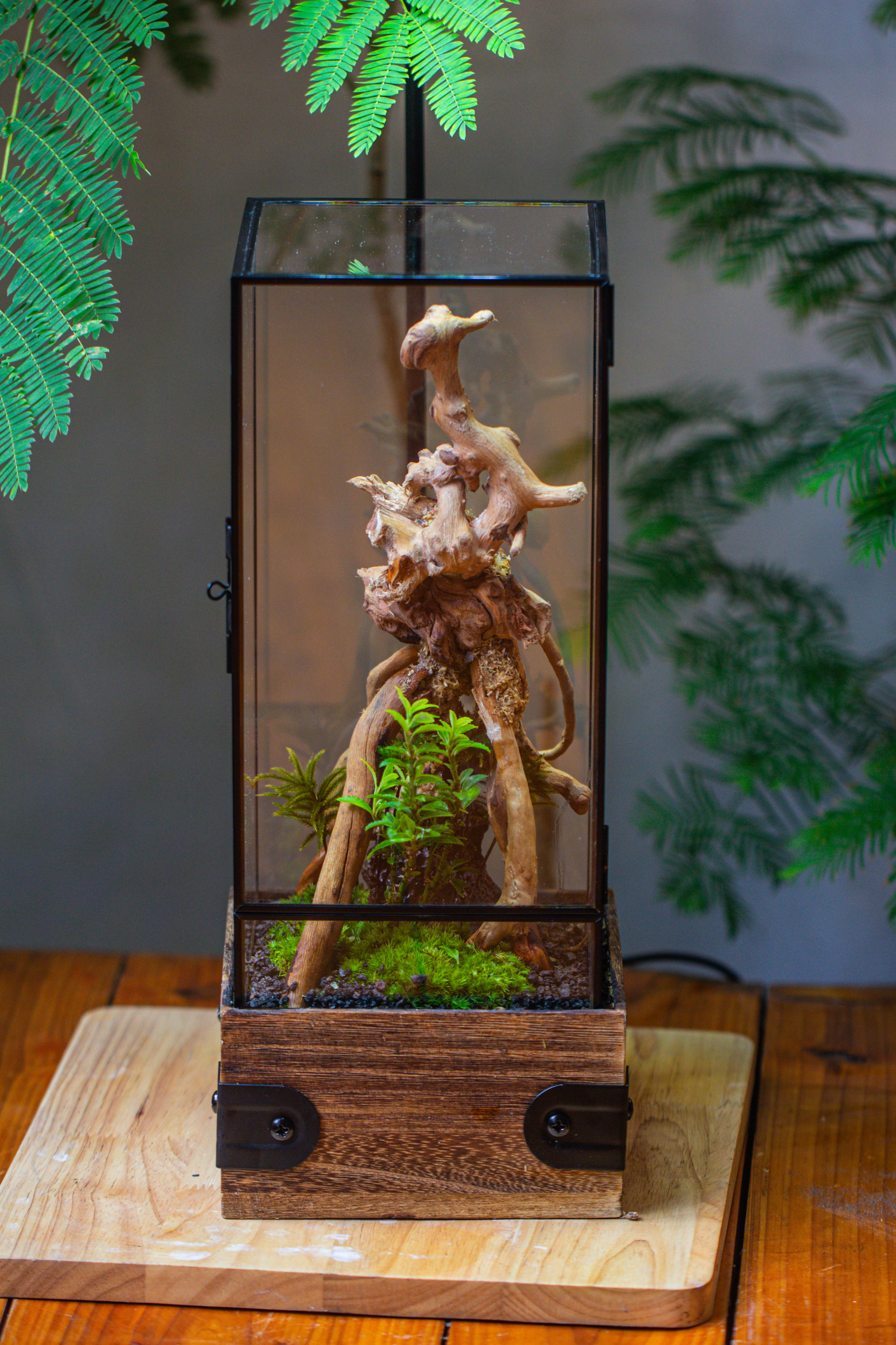 Handmade Glass Terrarium with Wood Base, Rectangular Planter with Door, with LED Acrylic Lamp Base for Plants, Moss Landscapes, Plant Lover Gift - NCYPgarden