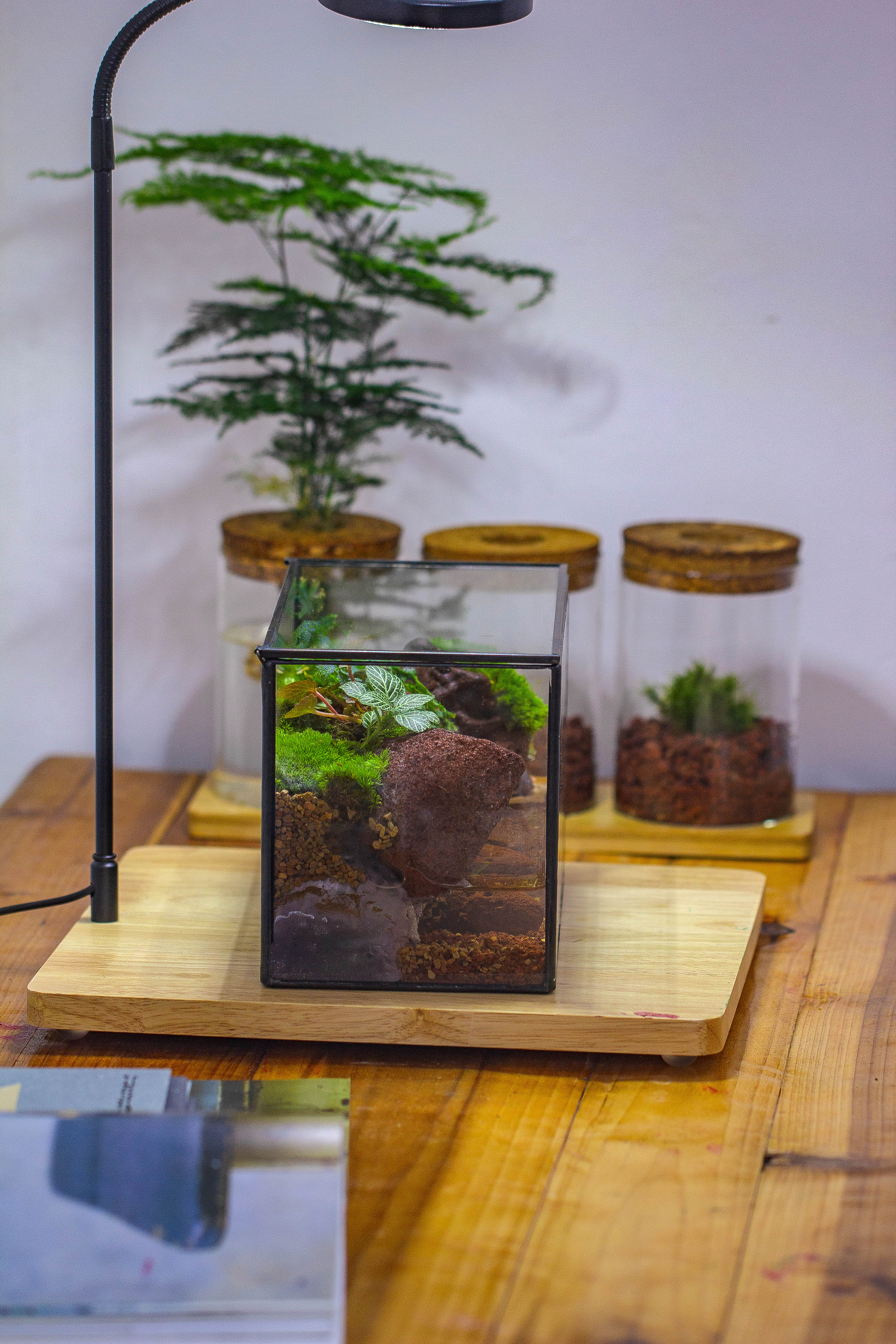 NCYP Watertight Close Rectangle Geometric Glass Tin Terrarium, for small waterpond, moss landscape, Live Miniature, water pond, landscape - NCYPgarden