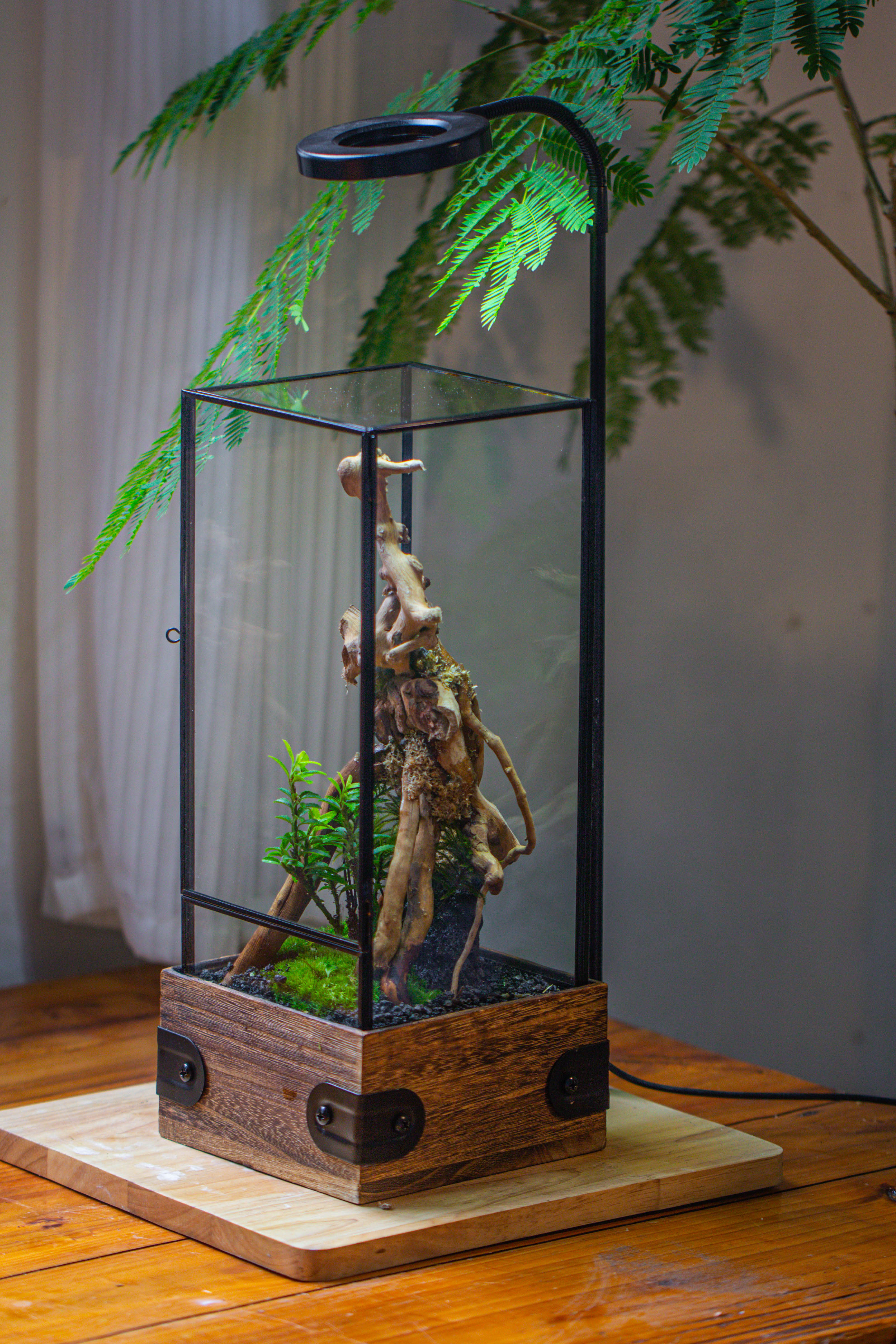 Handmade Glass Terrarium with Wood Base, Rectangular Planter with Door, with LED Acrylic Lamp Base for Plants, Moss Landscapes, Plant Lover Gift - NCYPgarden