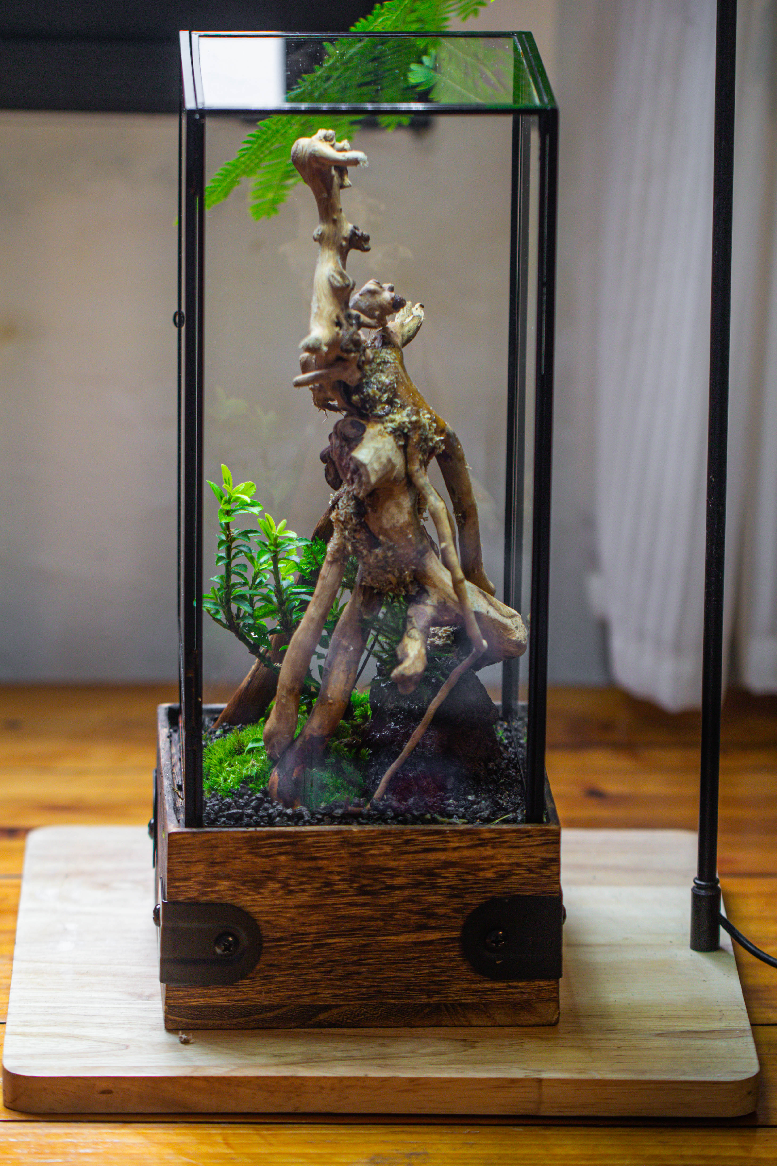Handmade Glass Terrarium with Wood Base, Rectangular Planter with Door, with LED Acrylic Lamp Base for Plants, Moss Landscapes, Plant Lover Gift - NCYPgarden