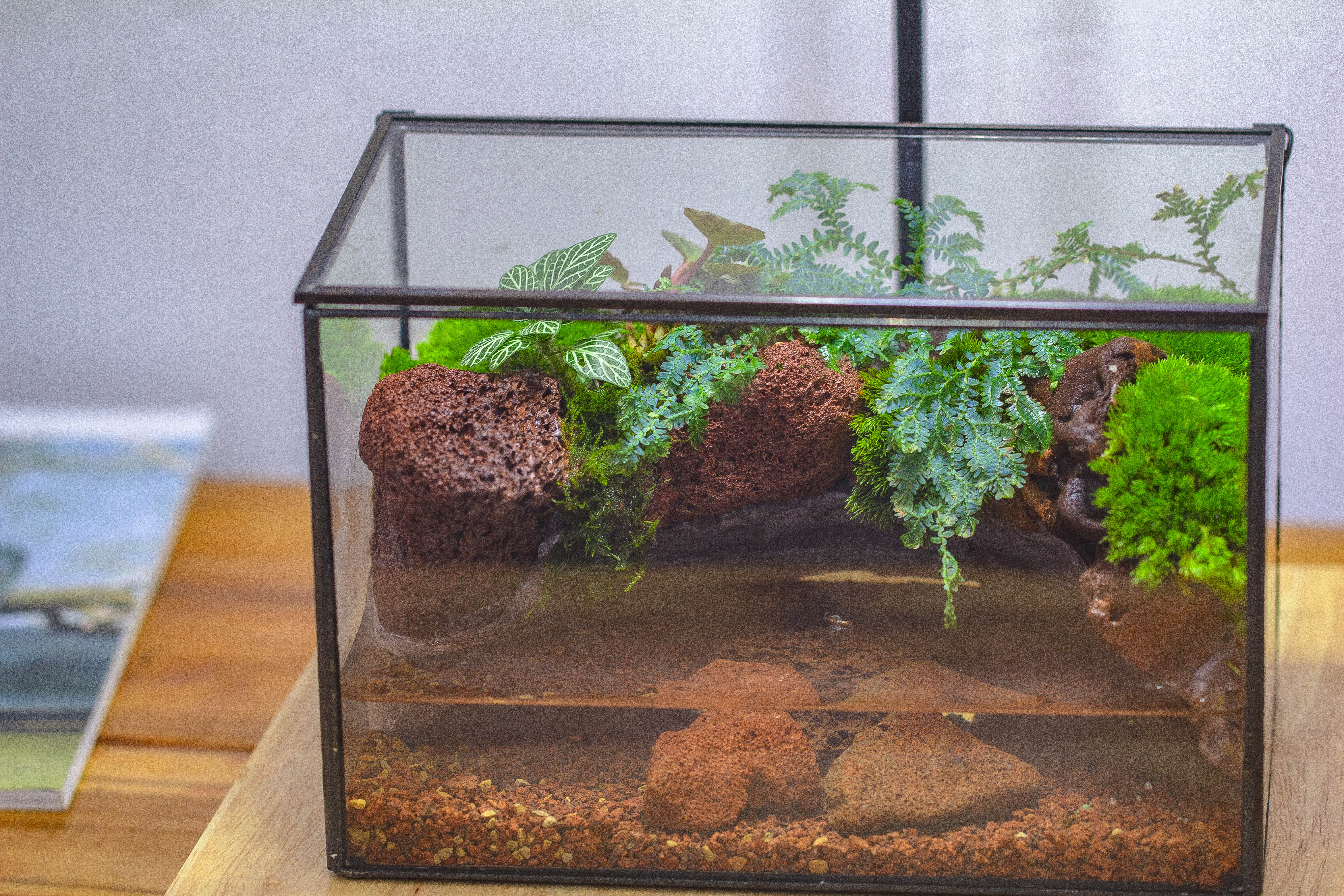 NCYP Watertight Close Rectangle Geometric Glass Tin Terrarium, for small waterpond, moss landscape, Live Miniature, water pond, landscape - NCYPgarden