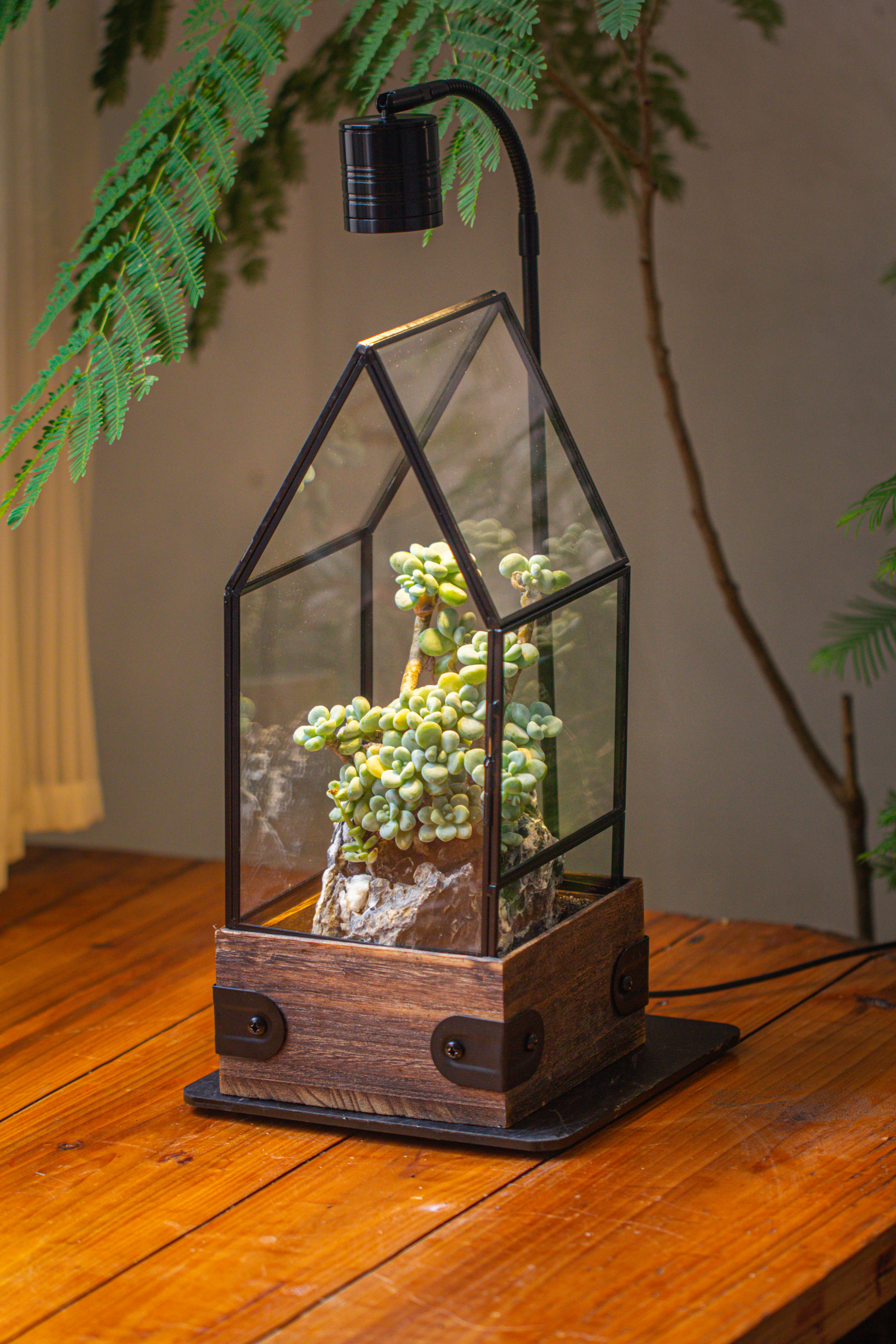 Handmade Glass Terrarium with Wood Base, House Shape Planter with Door, with LED Wood Lamp Base for Plants, Moss Landscapes, Plant Lover Gift - NCYPgarden