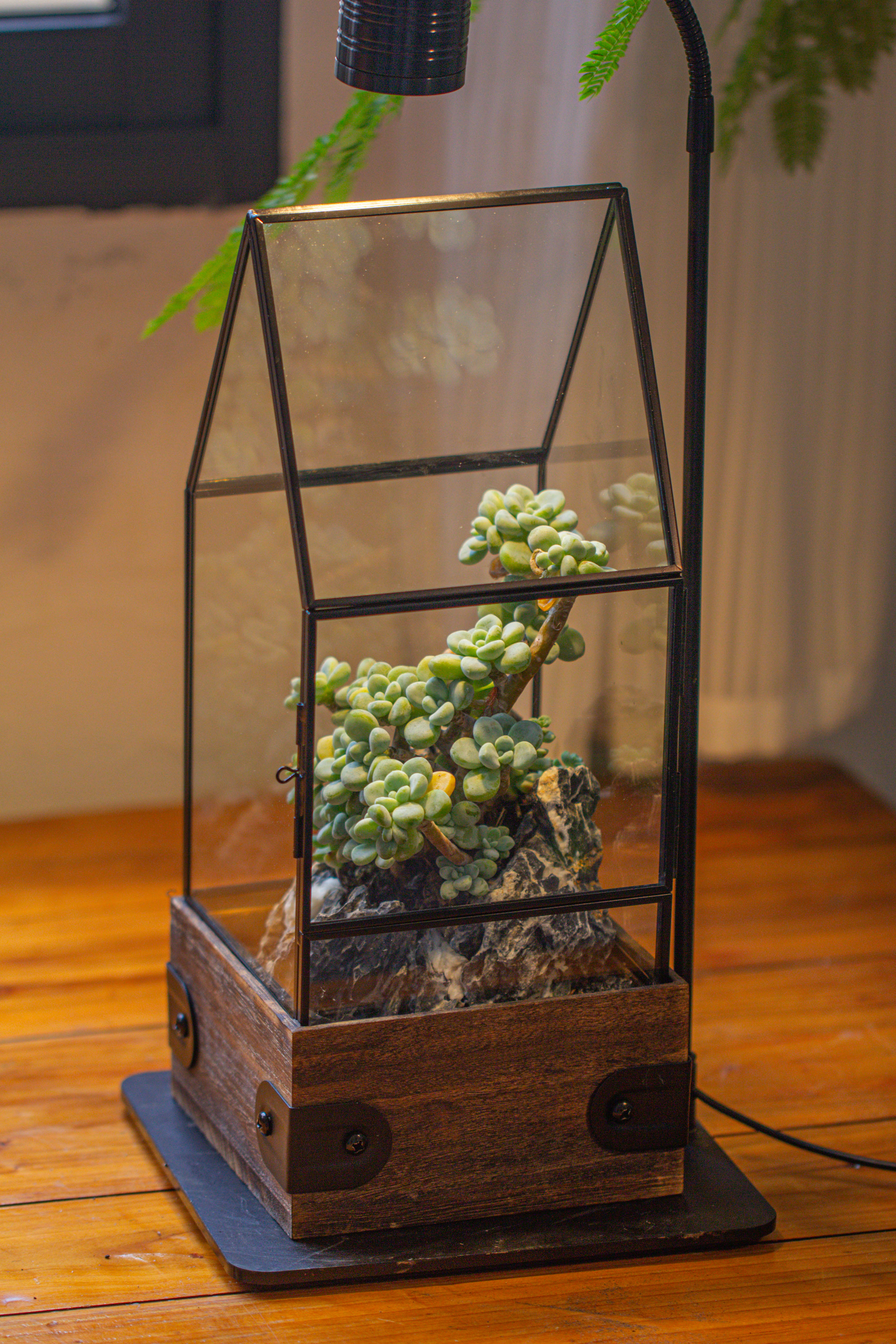 Handmade Glass Terrarium with Wood Base, House Shape Planter with Door, with LED Wood Lamp Base for Plants, Moss Landscapes, Plant Lover Gift - NCYPgarden