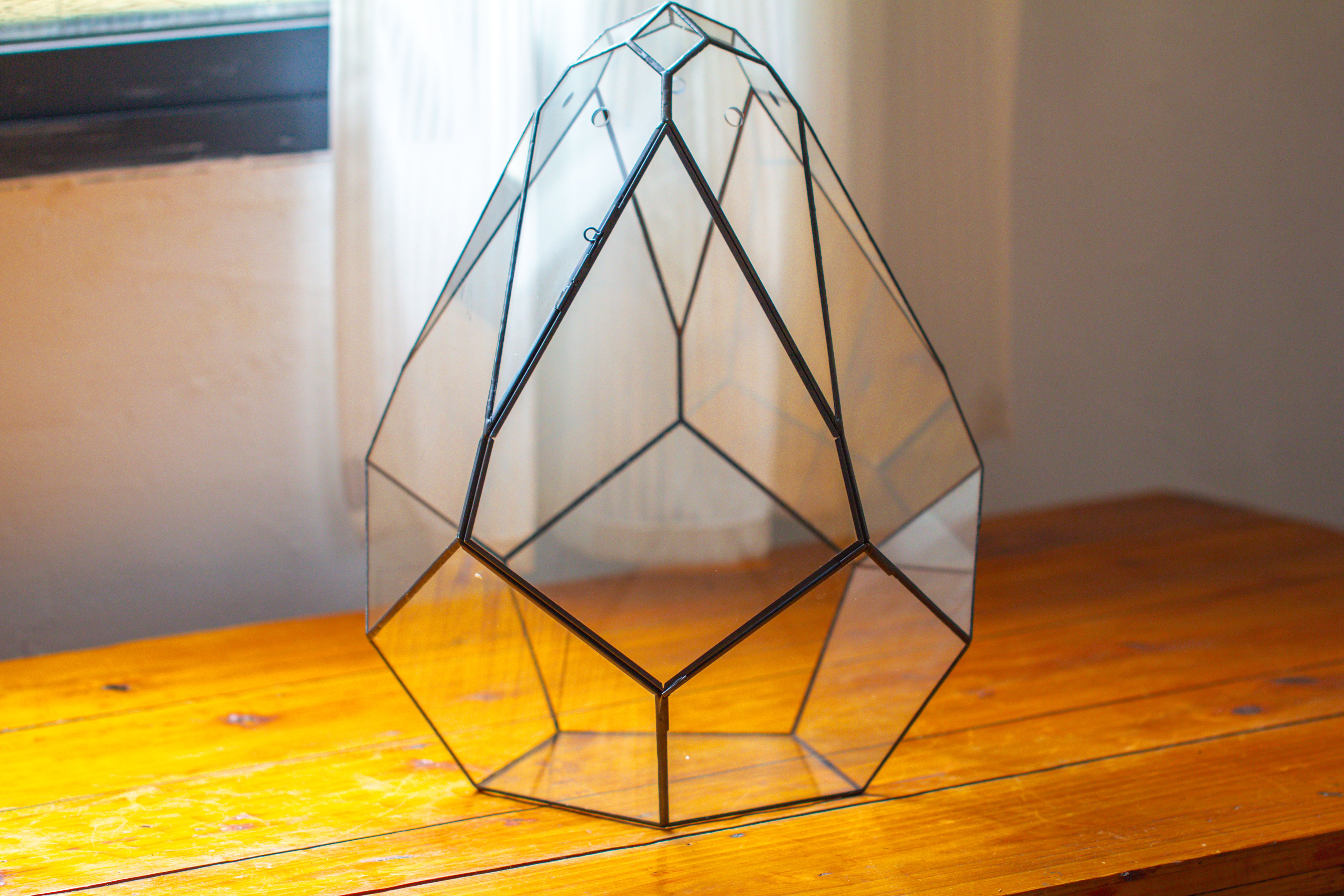 16" Large Teardrop Geometric Terrarium, close - NCYPgarden
